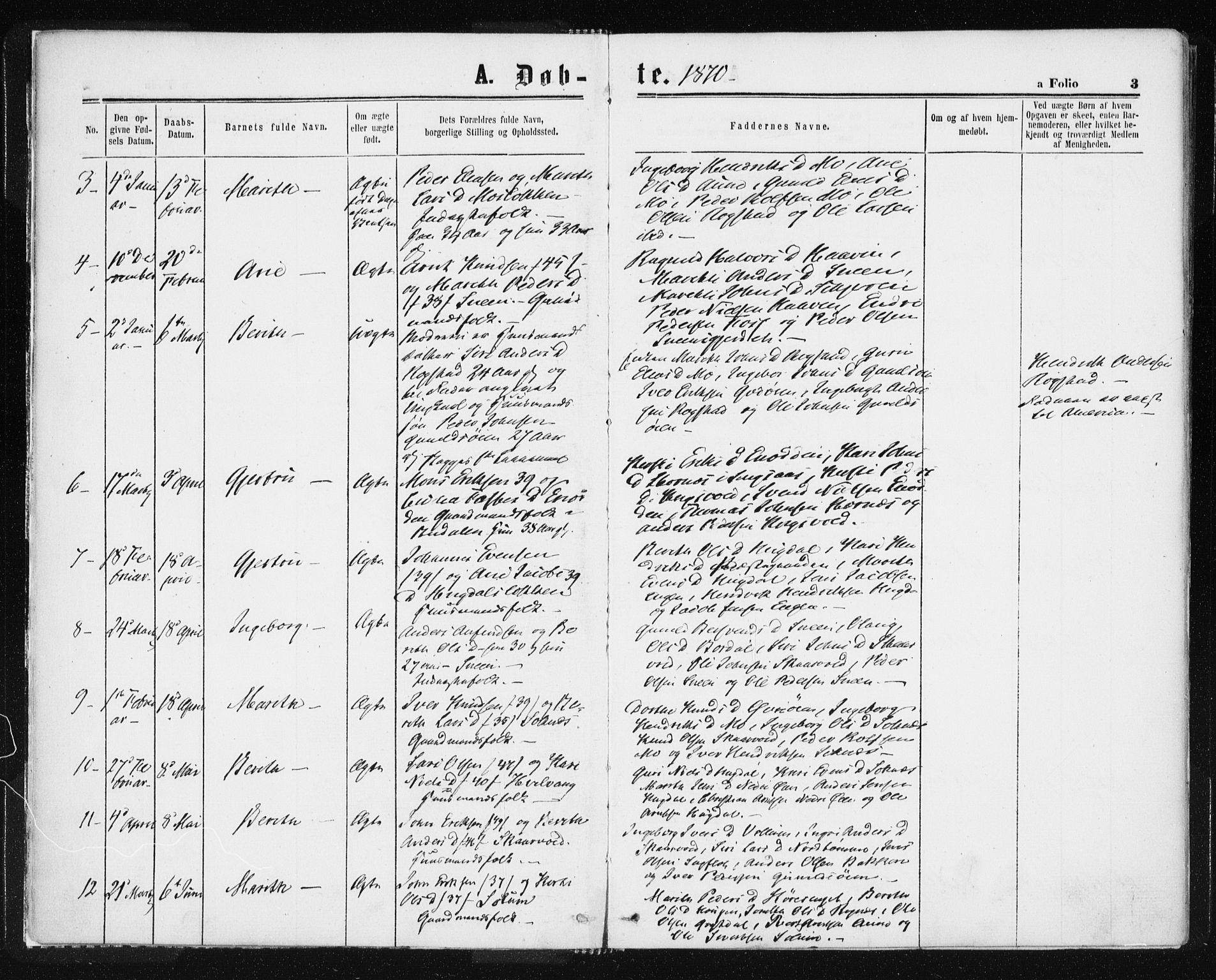 Ministerialprotokoller, klokkerbøker og fødselsregistre - Sør-Trøndelag, SAT/A-1456/687/L1001: Parish register (official) no. 687A07, 1863-1878, p. 3