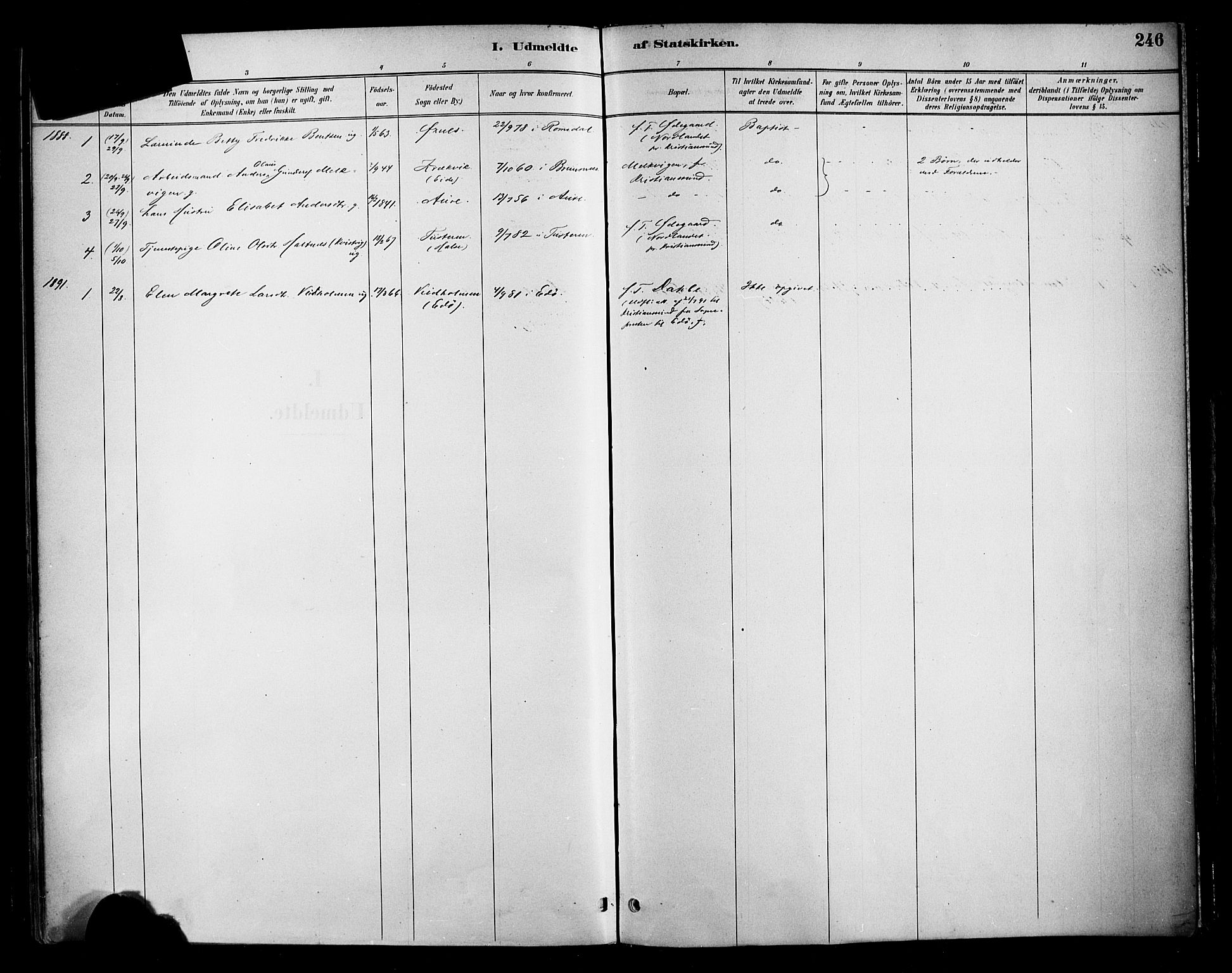 Ministerialprotokoller, klokkerbøker og fødselsregistre - Møre og Romsdal, SAT/A-1454/569/L0819: Parish register (official) no. 569A05, 1885-1899, p. 246
