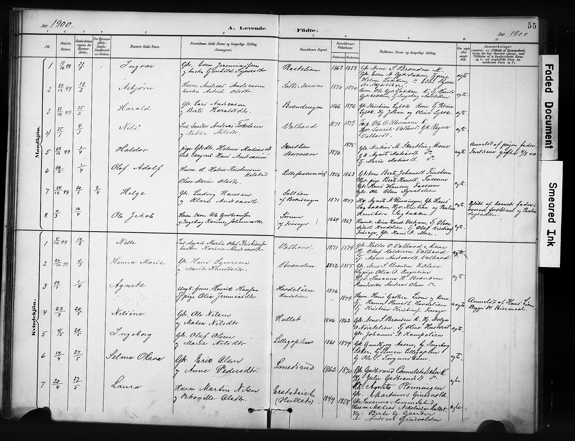 Nordre Land prestekontor, SAH/PREST-124/H/Ha/Hab/L0012: Parish register (copy) no. 12, 1891-1909, p. 55