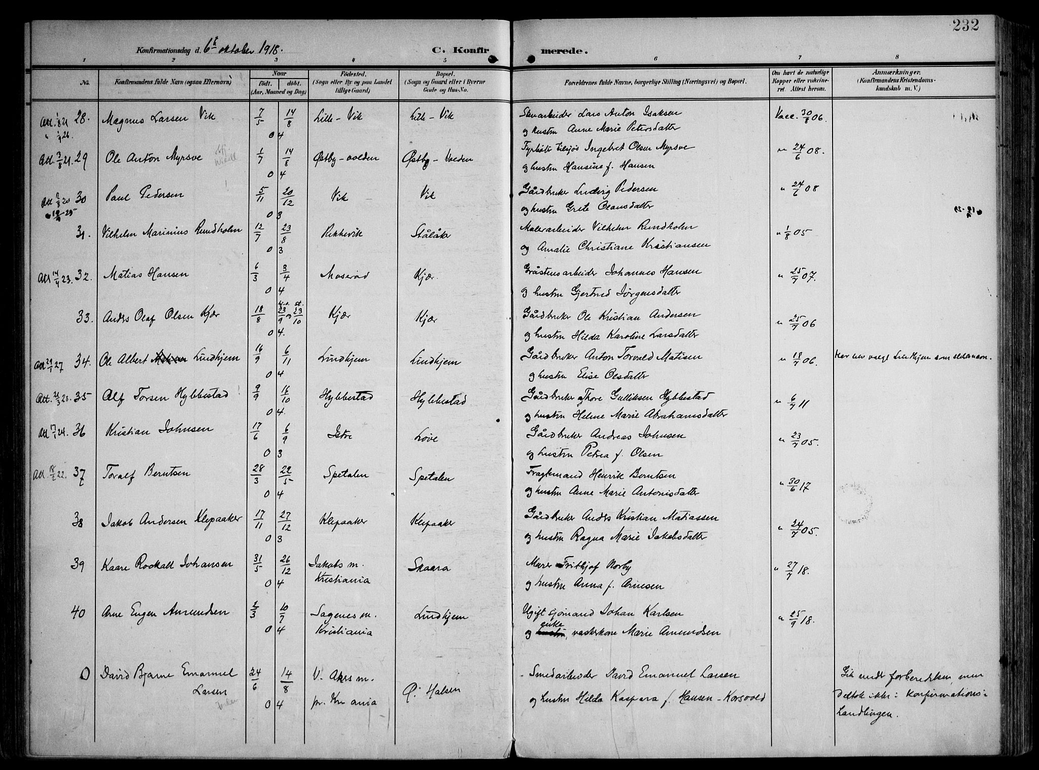 Tjølling kirkebøker, AV/SAKO-A-60/F/Fa/L0010: Parish register (official) no. 10, 1906-1923, p. 232