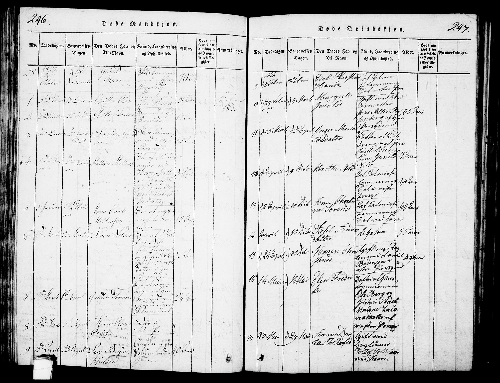 Porsgrunn kirkebøker , SAKO/A-104/G/Gb/L0001: Parish register (copy) no. II 1, 1817-1828, p. 246-247