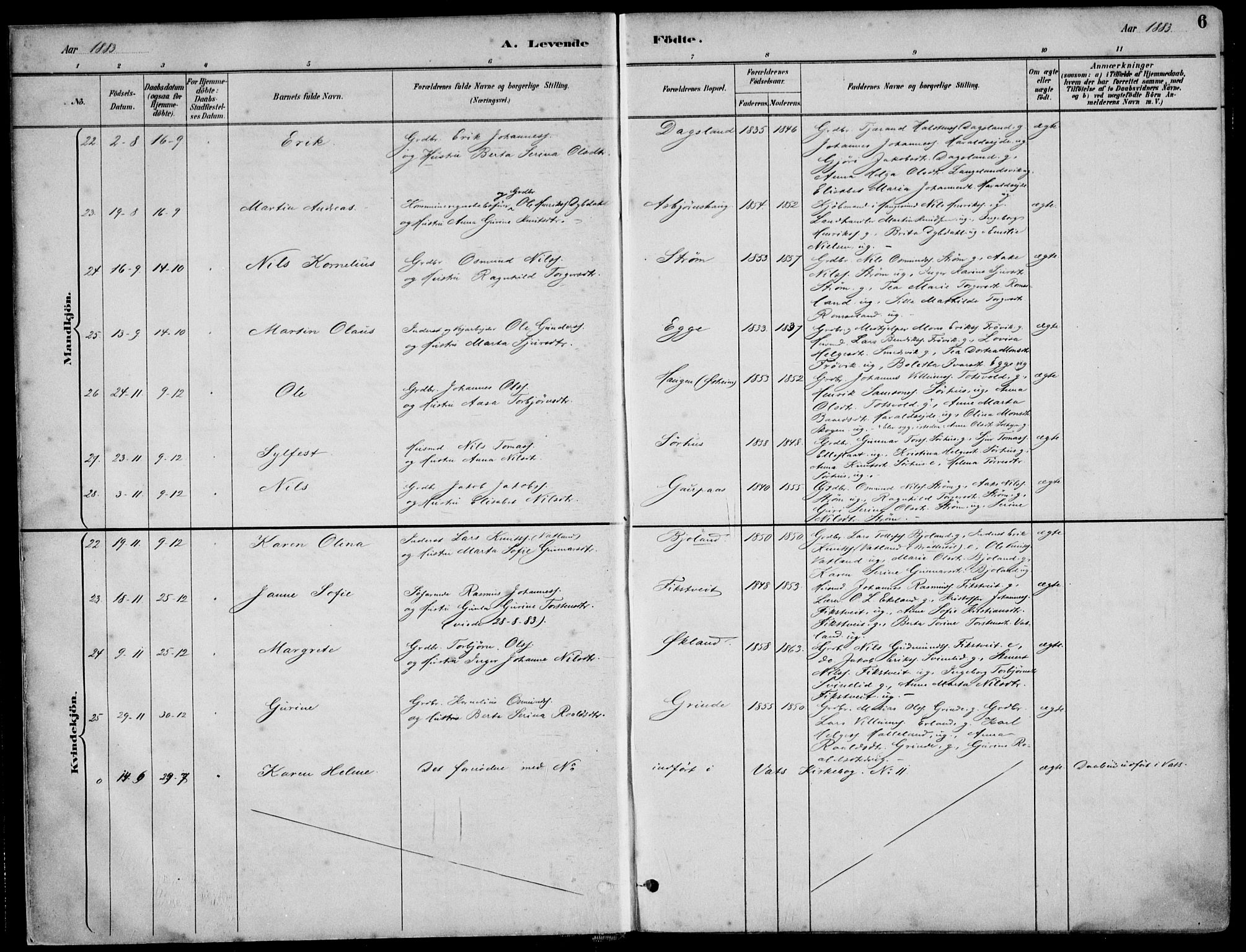 Skjold sokneprestkontor, AV/SAST-A-101847/H/Ha/Haa/L0010: Parish register (official) no. A 10, 1882-1897, p. 6