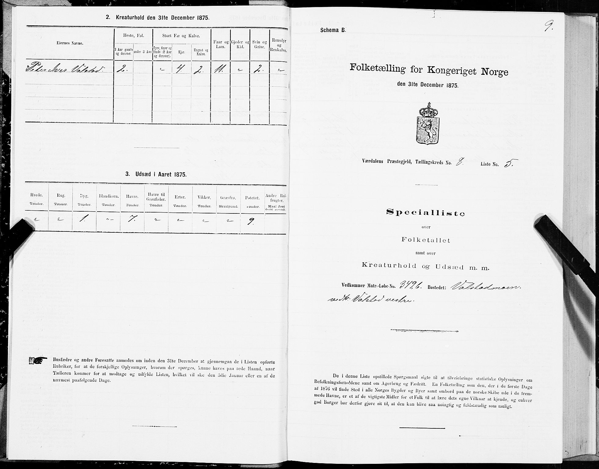 SAT, 1875 census for 1721P Verdal, 1875, p. 5009