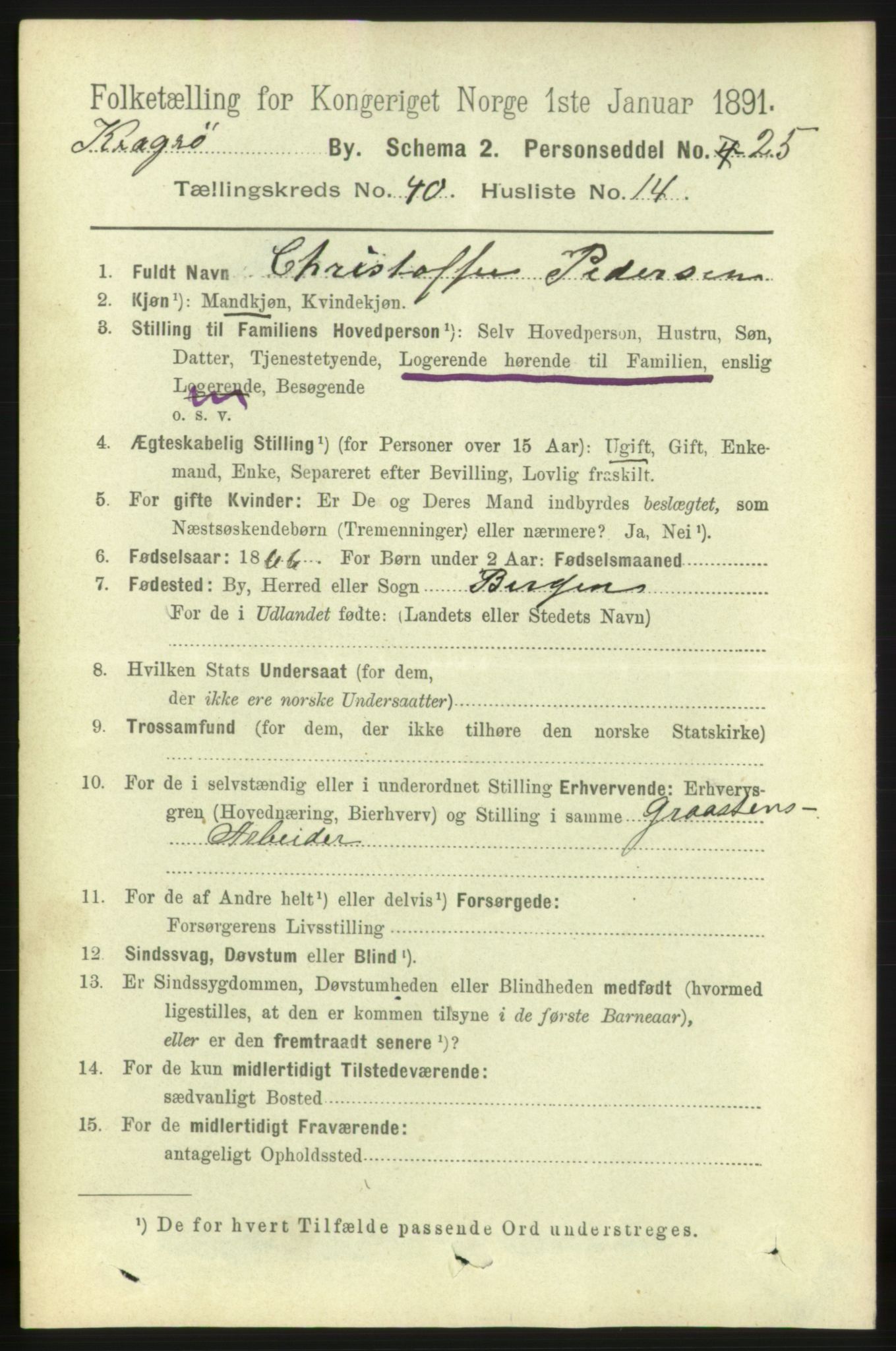 RA, 1891 census for 0801 Kragerø, 1891, p. 7506