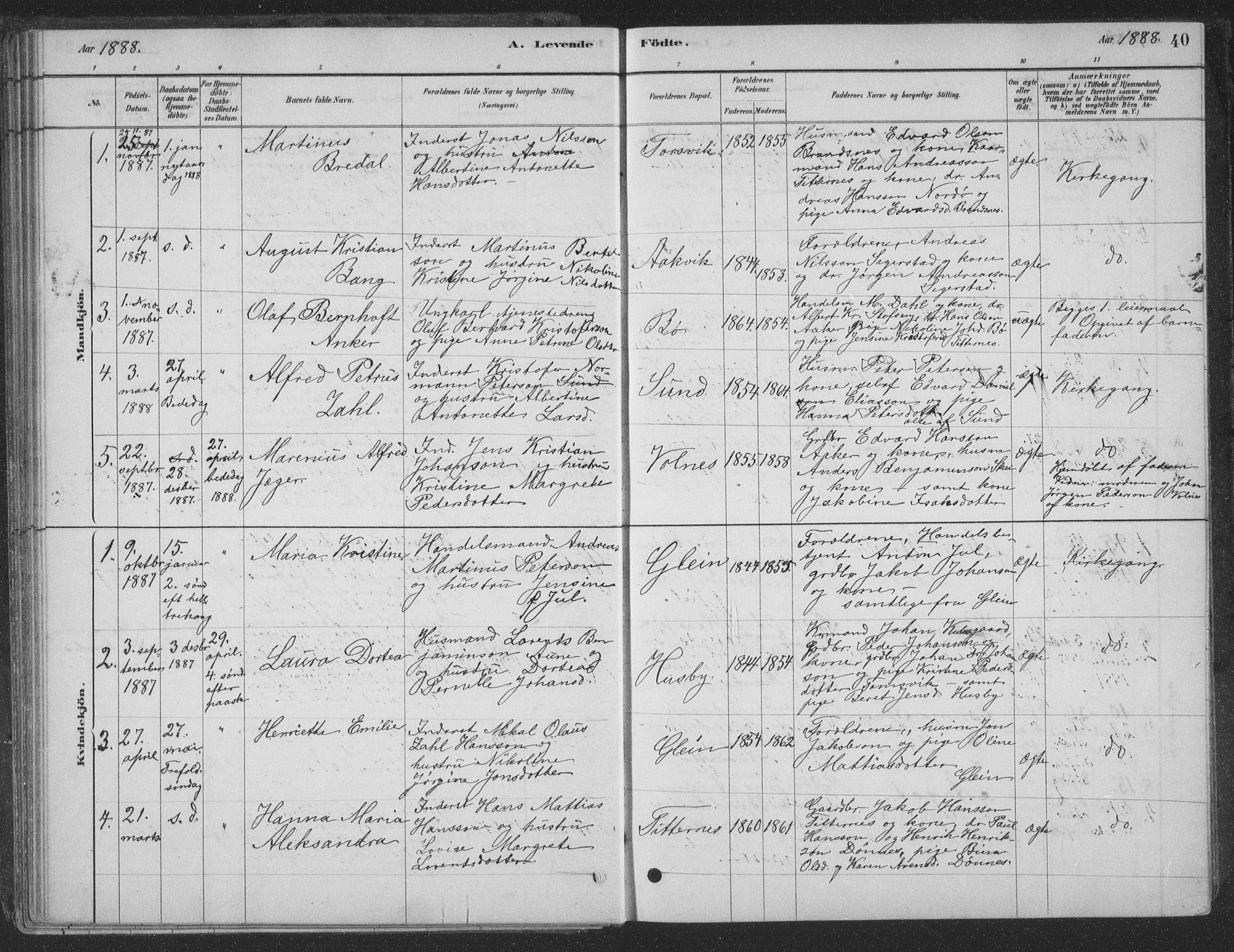 Ministerialprotokoller, klokkerbøker og fødselsregistre - Nordland, AV/SAT-A-1459/835/L0532: Parish register (copy) no. 835C04, 1880-1905, p. 40