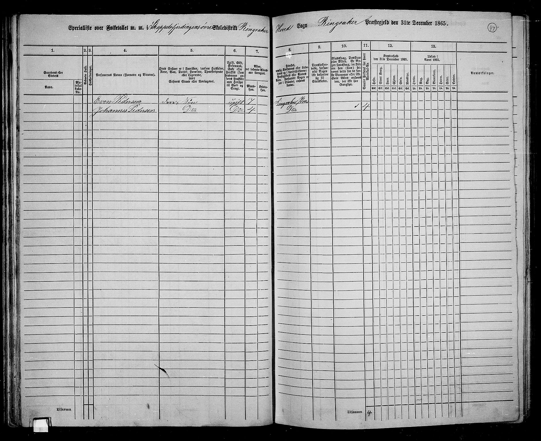 RA, 1865 census for Ringsaker, 1865, p. 304