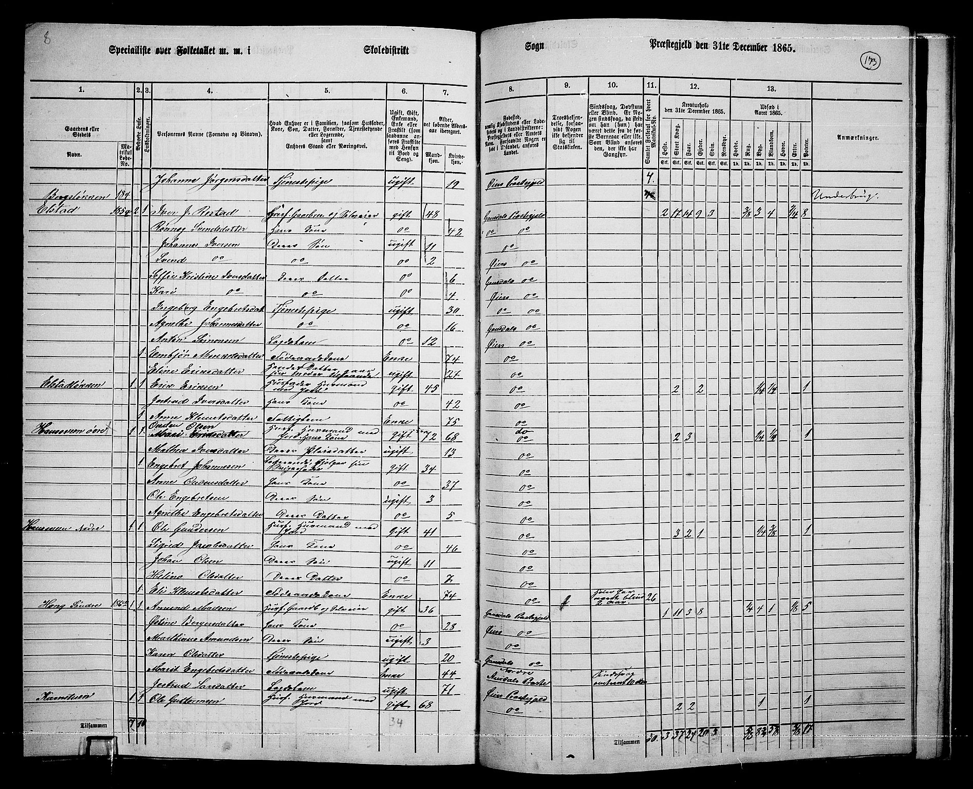 RA, 1865 census for Øyer, 1865, p. 158