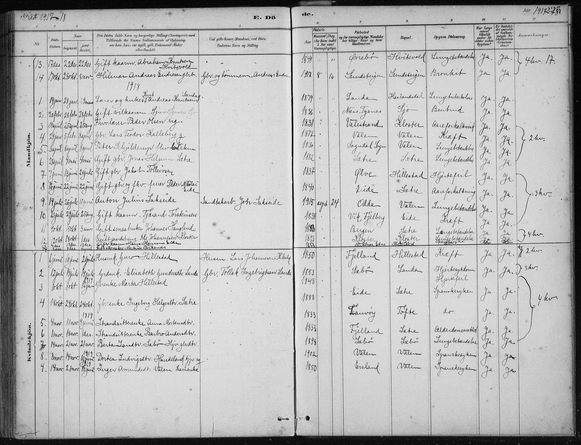 Fjelberg sokneprestembete, SAB/A-75201/H/Haa: Parish register (official) no. C  1, 1879-1918, p. 225