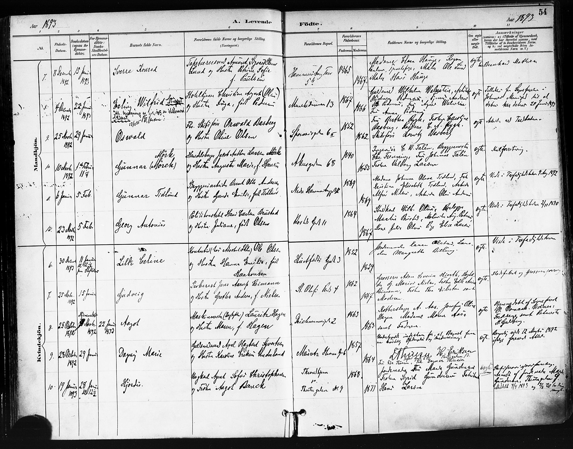 Trefoldighet prestekontor Kirkebøker, AV/SAO-A-10882/F/Fa/L0006: Parish register (official) no. I 6, 1891-1899, p. 54