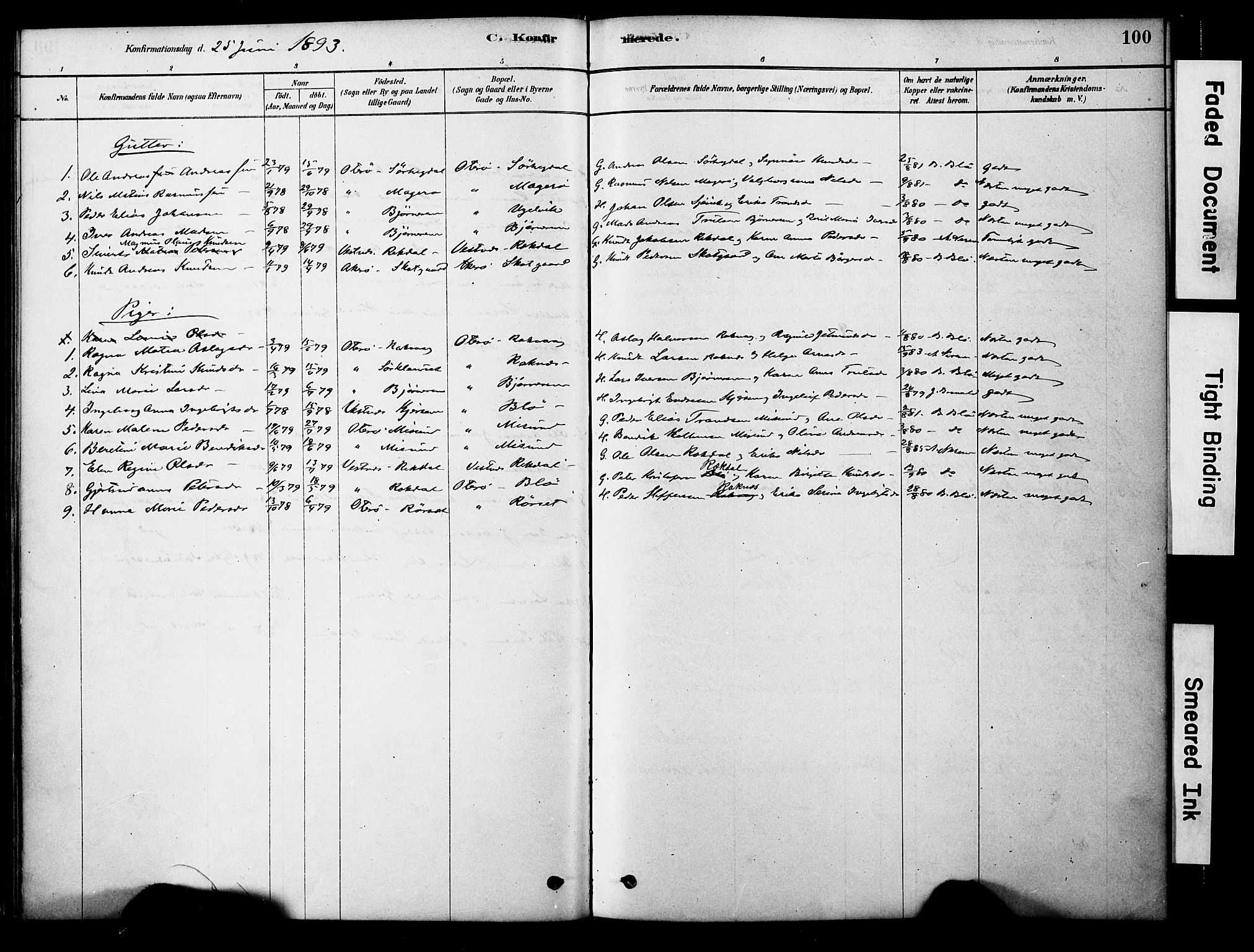 Ministerialprotokoller, klokkerbøker og fødselsregistre - Møre og Romsdal, AV/SAT-A-1454/563/L0736: Parish register (official) no. 563A01, 1878-1903, p. 100