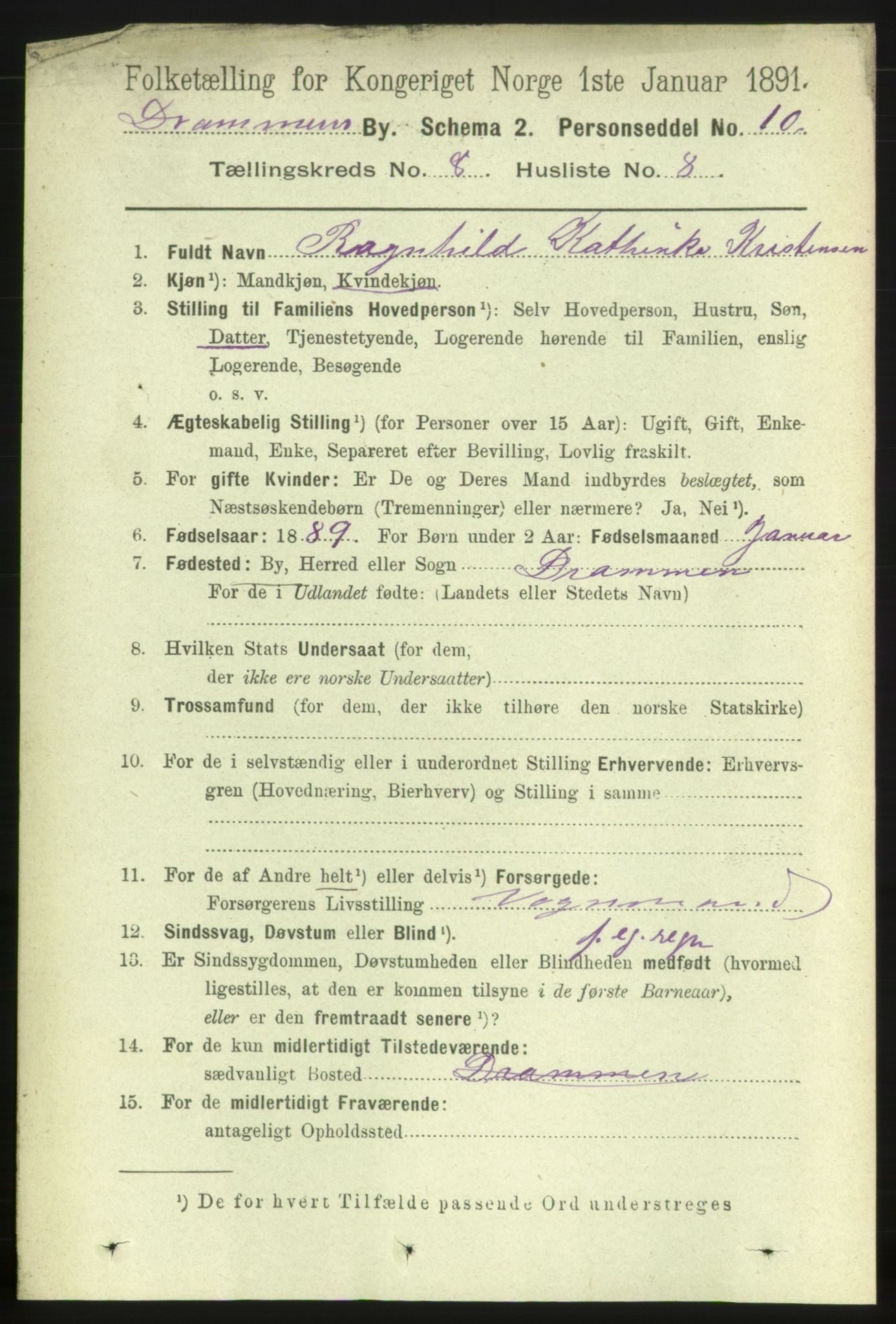 RA, 1891 census for 0602 Drammen, 1891, p. 6901