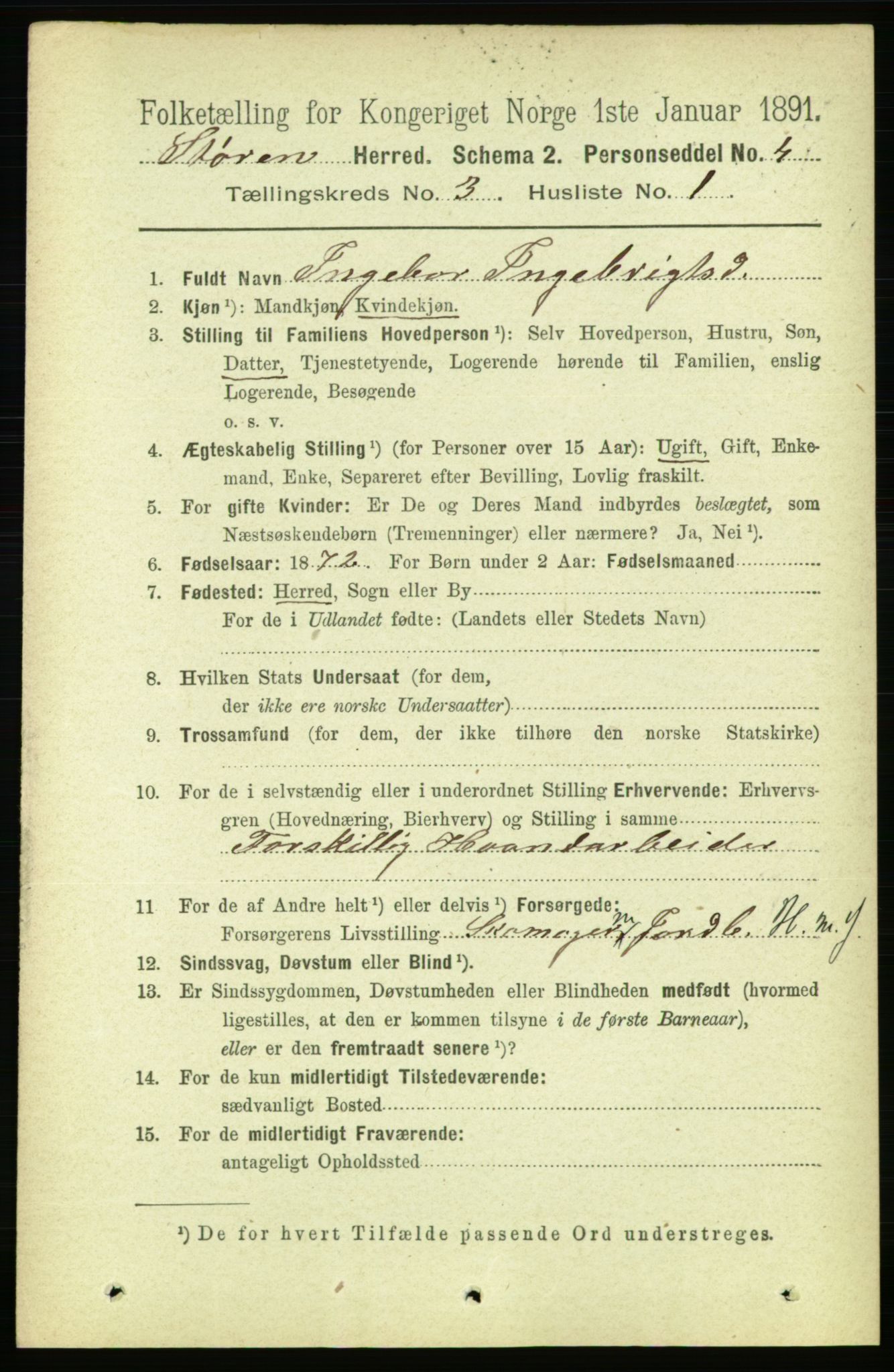 RA, 1891 census for 1648 Støren, 1891, p. 794