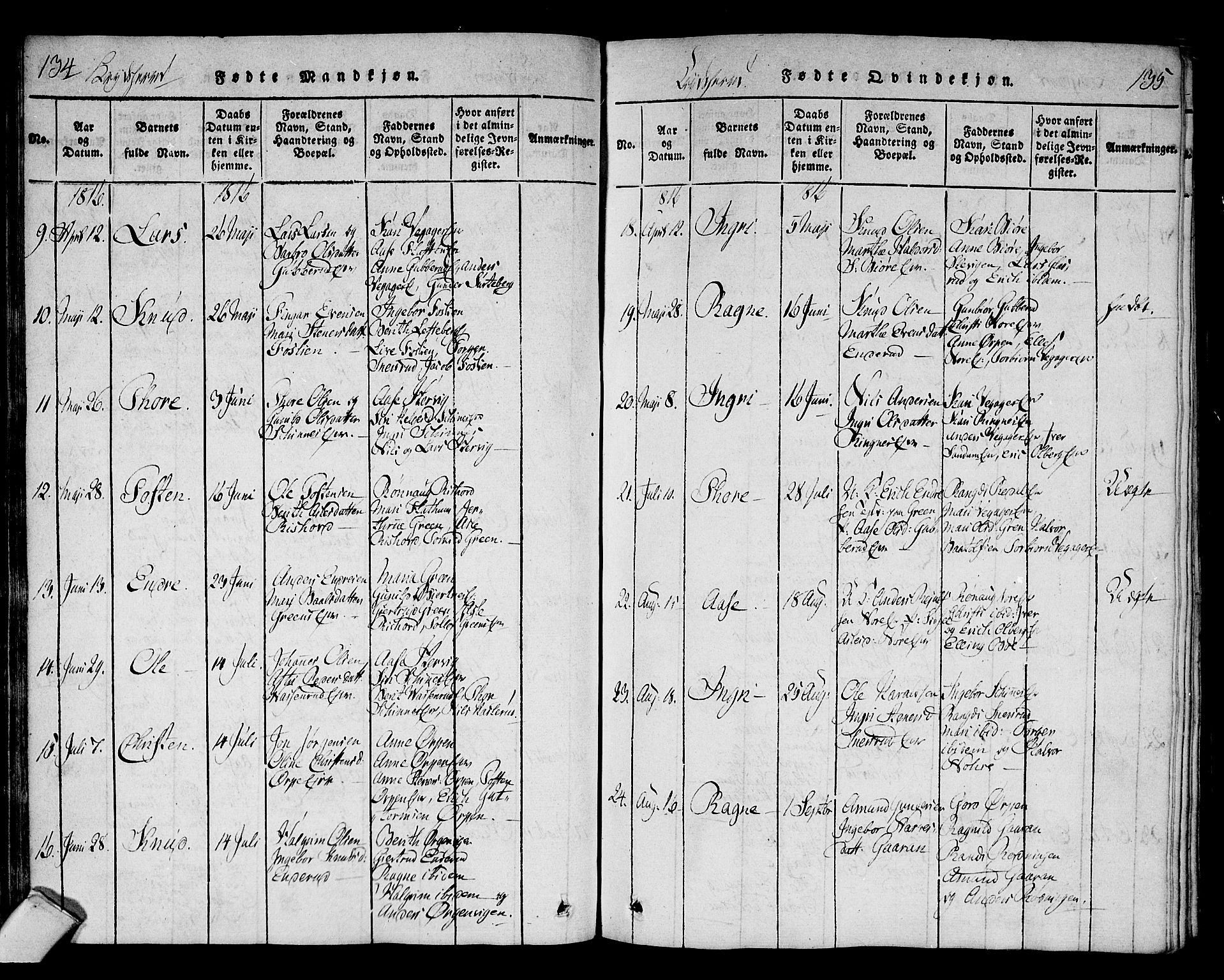 Sigdal kirkebøker, AV/SAKO-A-245/F/Fa/L0005: Parish register (official) no. I 5 /3, 1815-1829, p. 134-135