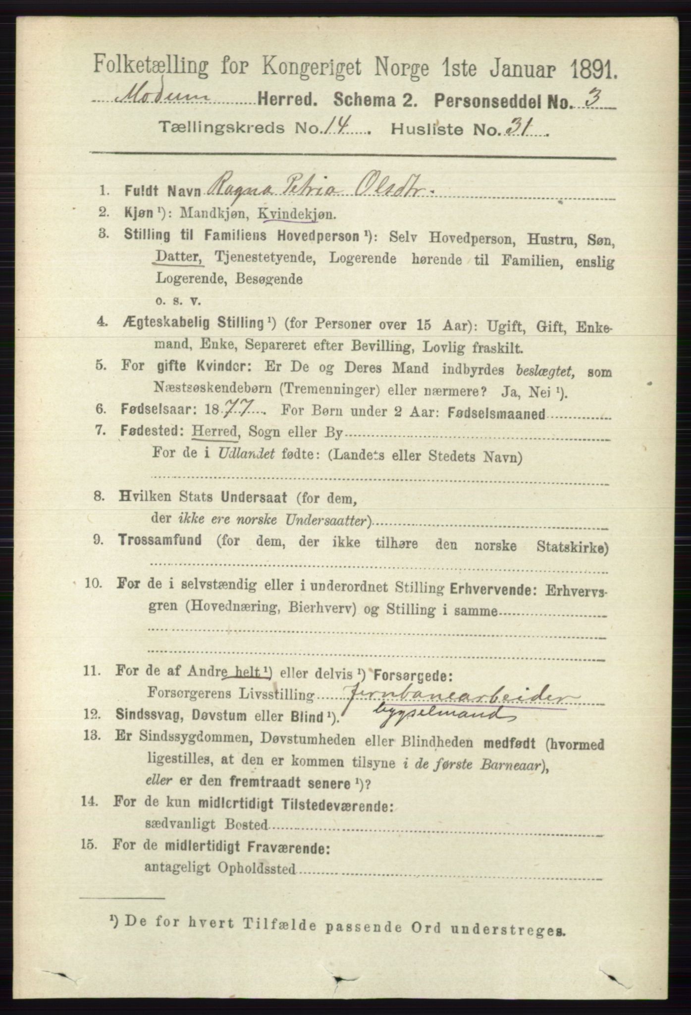 RA, 1891 census for 0623 Modum, 1891, p. 5668
