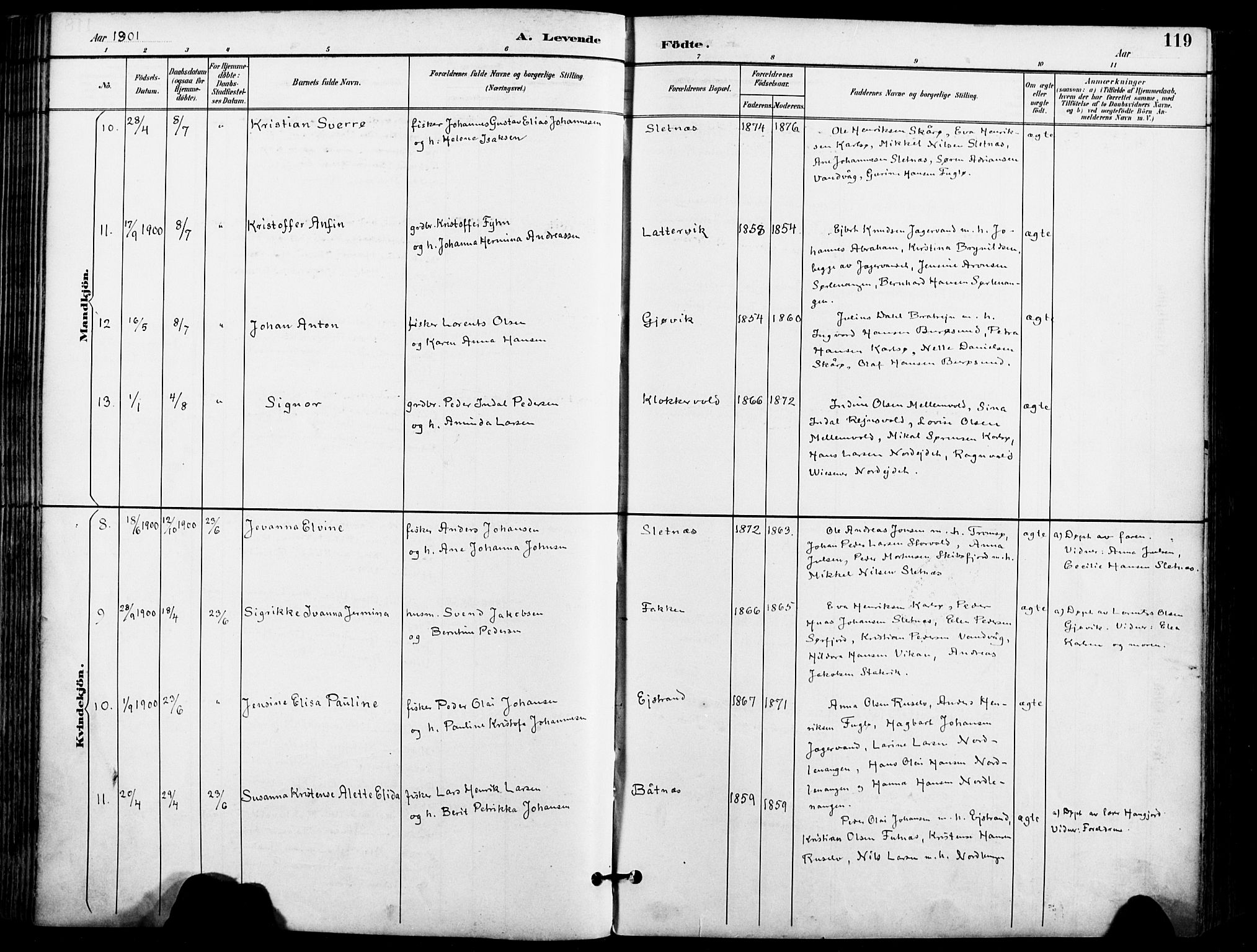 Karlsøy sokneprestembete, AV/SATØ-S-1299/H/Ha/Haa/L0007kirke: Parish register (official) no. 7, 1891-1902, p. 119