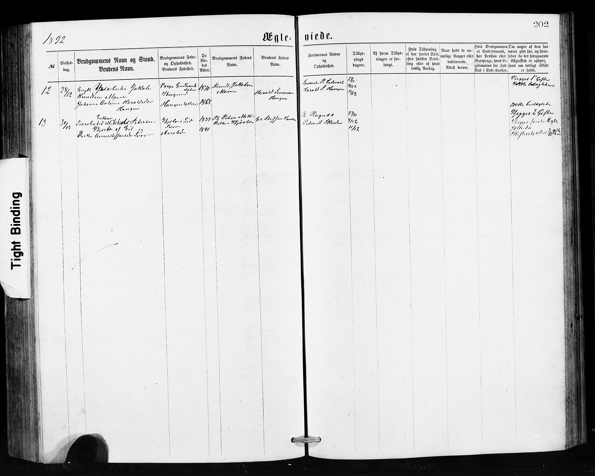 Hornindal sokneprestembete, SAB/A-82401/H/Hab: Parish register (copy) no. A 1, 1876-1894, p. 202