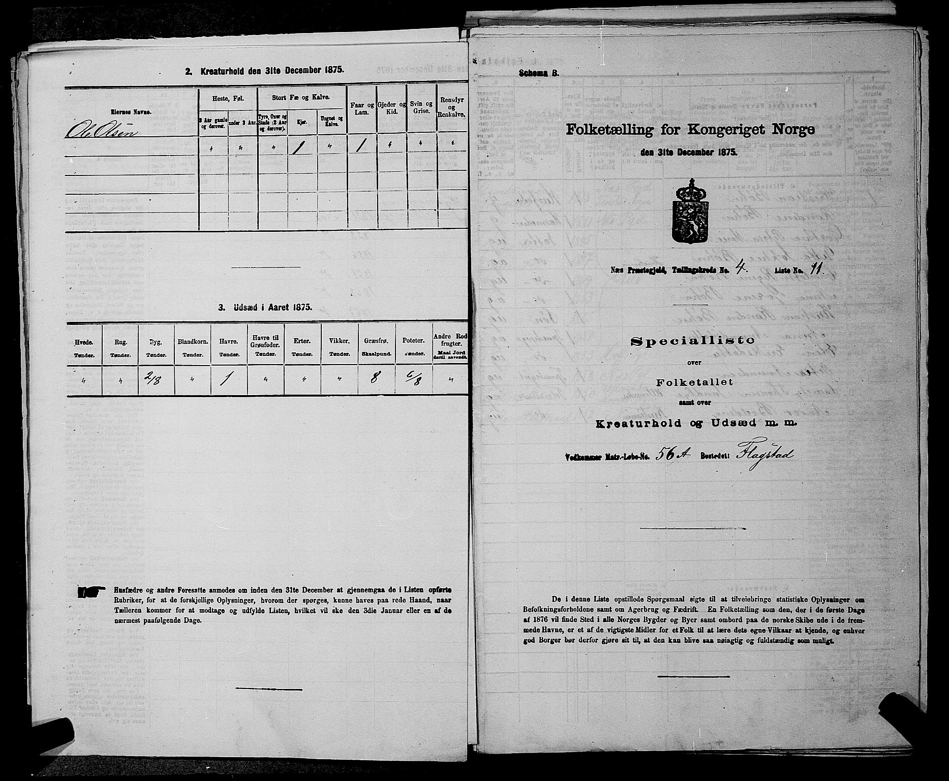 RA, 1875 census for 0236P Nes, 1875, p. 504