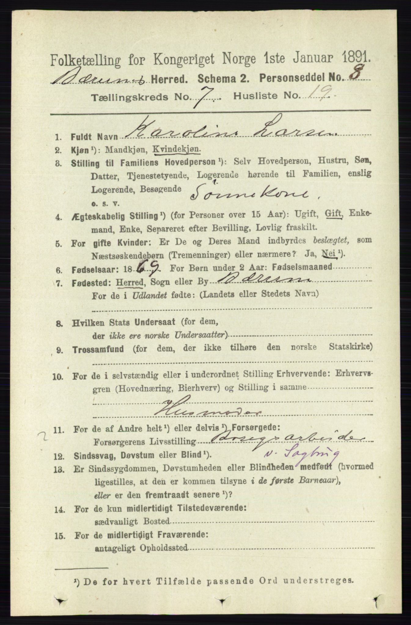 RA, 1891 census for 0219 Bærum, 1891, p. 4260