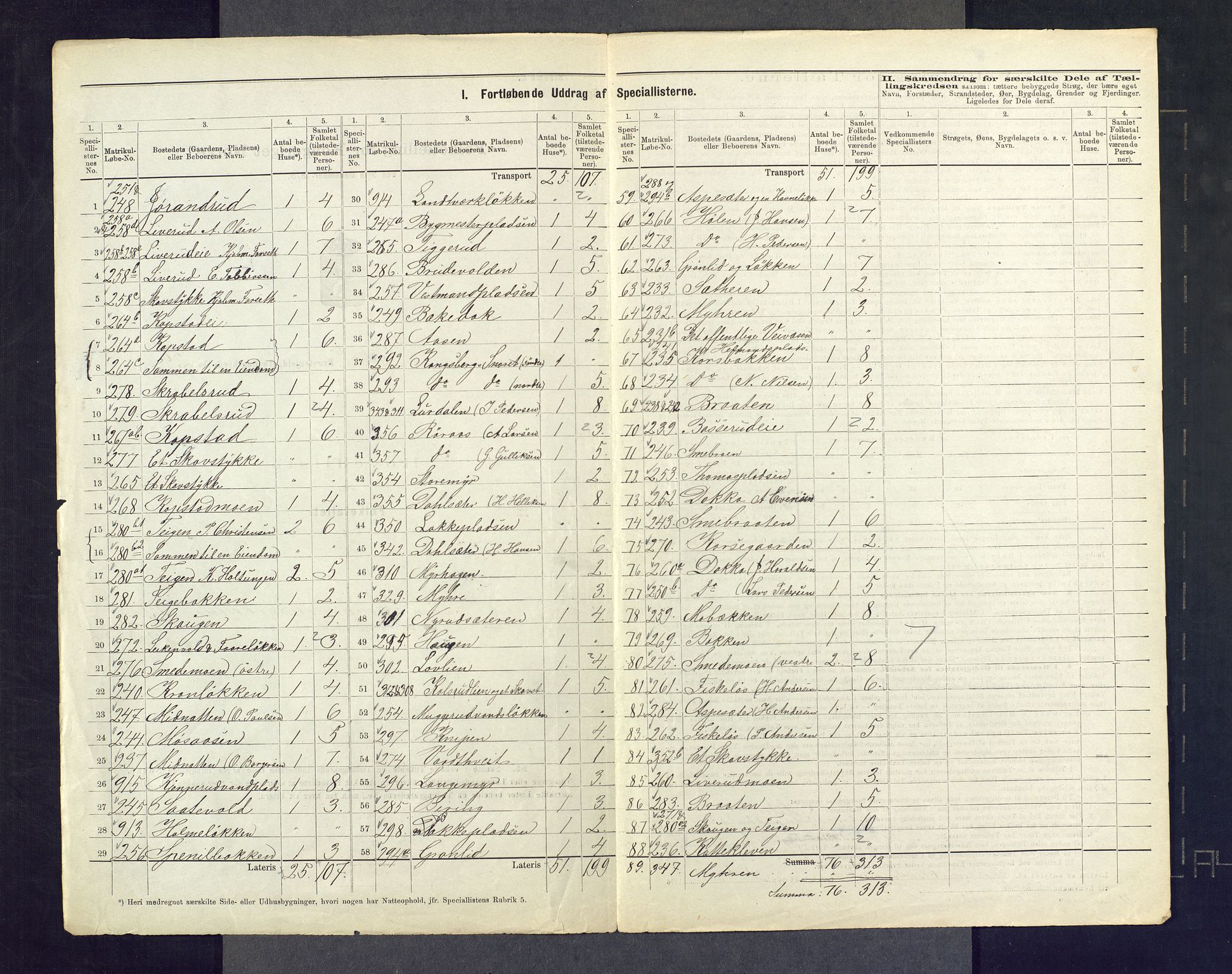 SAKO, 1875 census for 0624P Eiker, 1875, p. 161