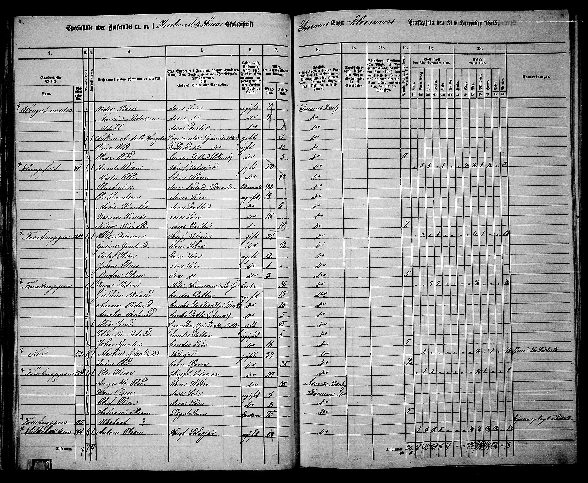 RA, 1865 census for Elverum, 1865, p. 41