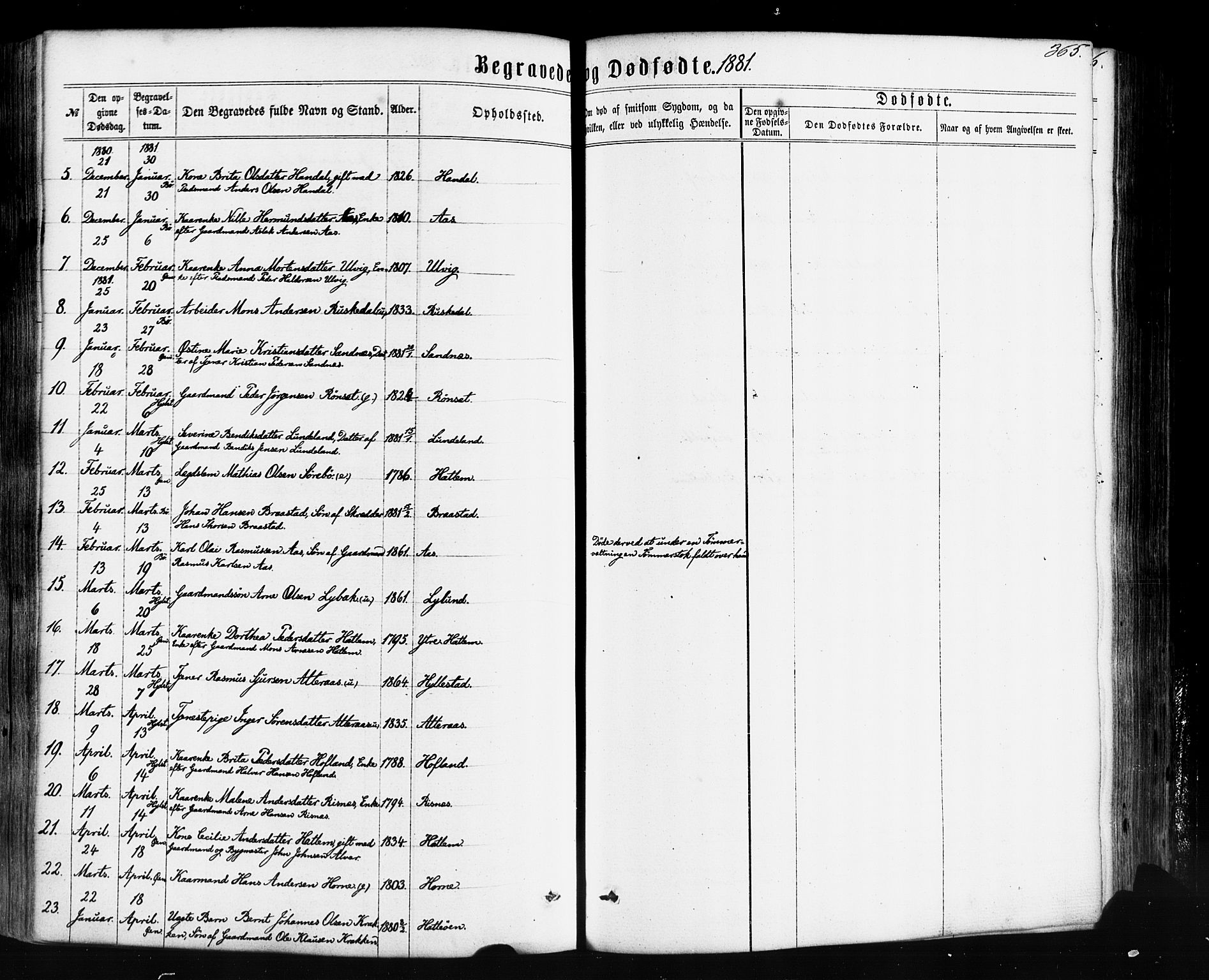 Hyllestad sokneprestembete, SAB/A-80401: Parish register (official) no. A 1, 1861-1886, p. 365