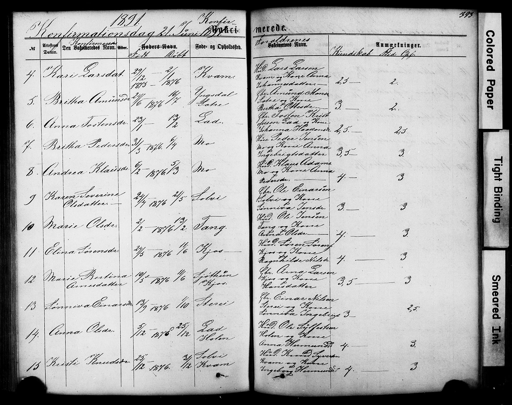 Hafslo sokneprestembete, SAB/A-80301/H/Hab/Haba/L0001: Parish register (copy) no. A 1, 1866-1908, p. 393