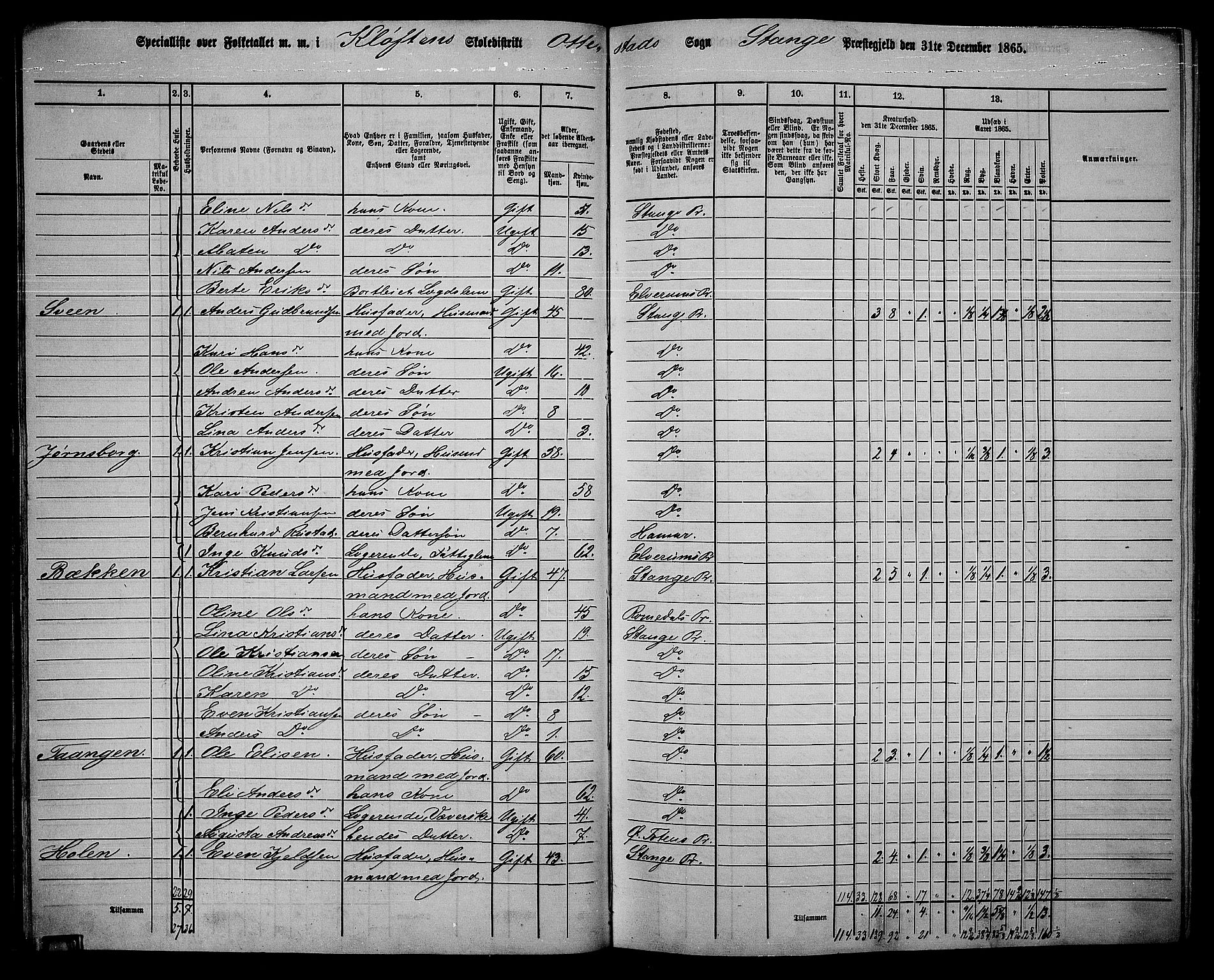 RA, 1865 census for Stange, 1865, p. 40