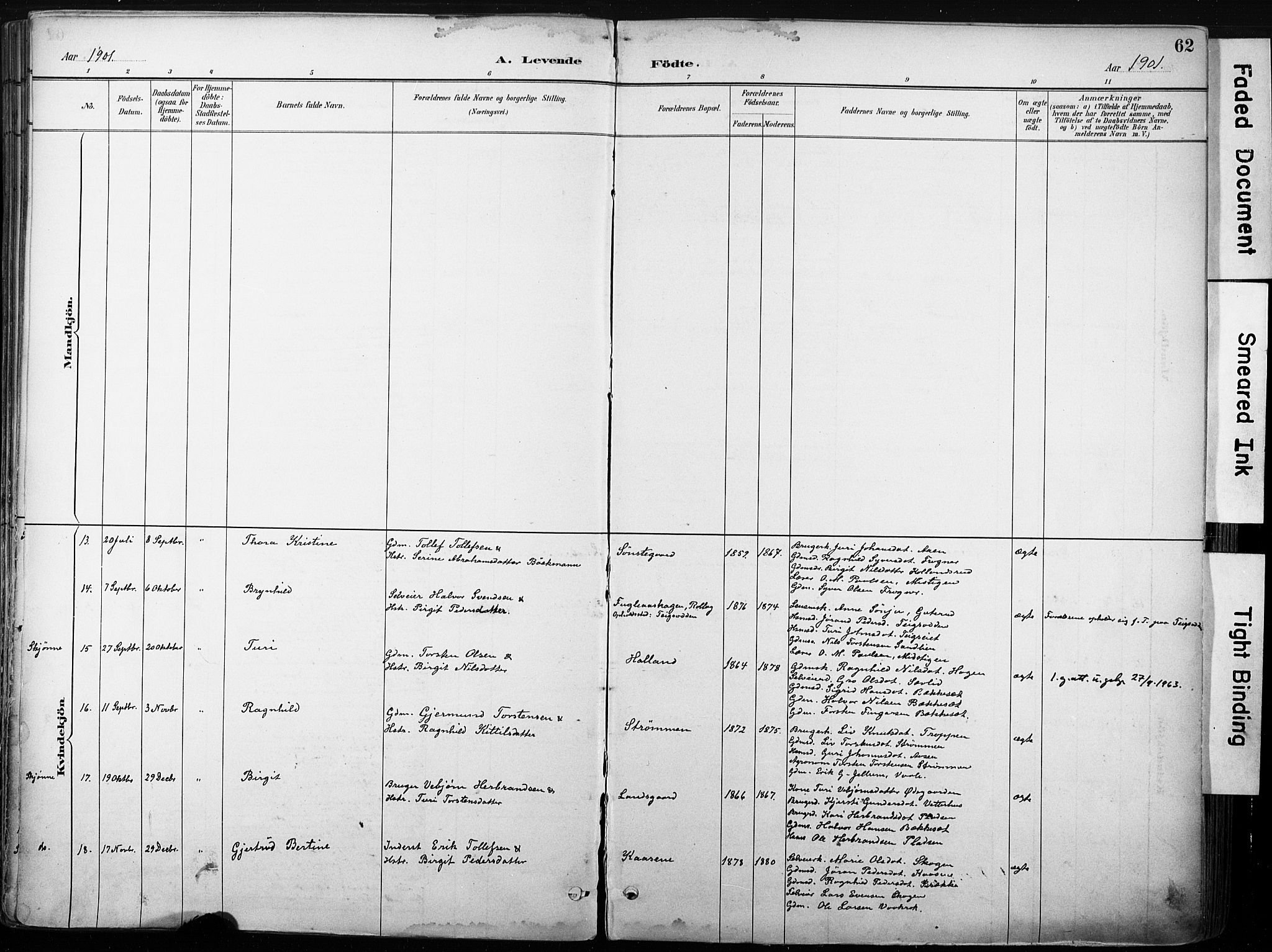 Nore kirkebøker, SAKO/A-238/F/Fb/L0002: Parish register (official) no. II 2, 1886-1906, p. 62
