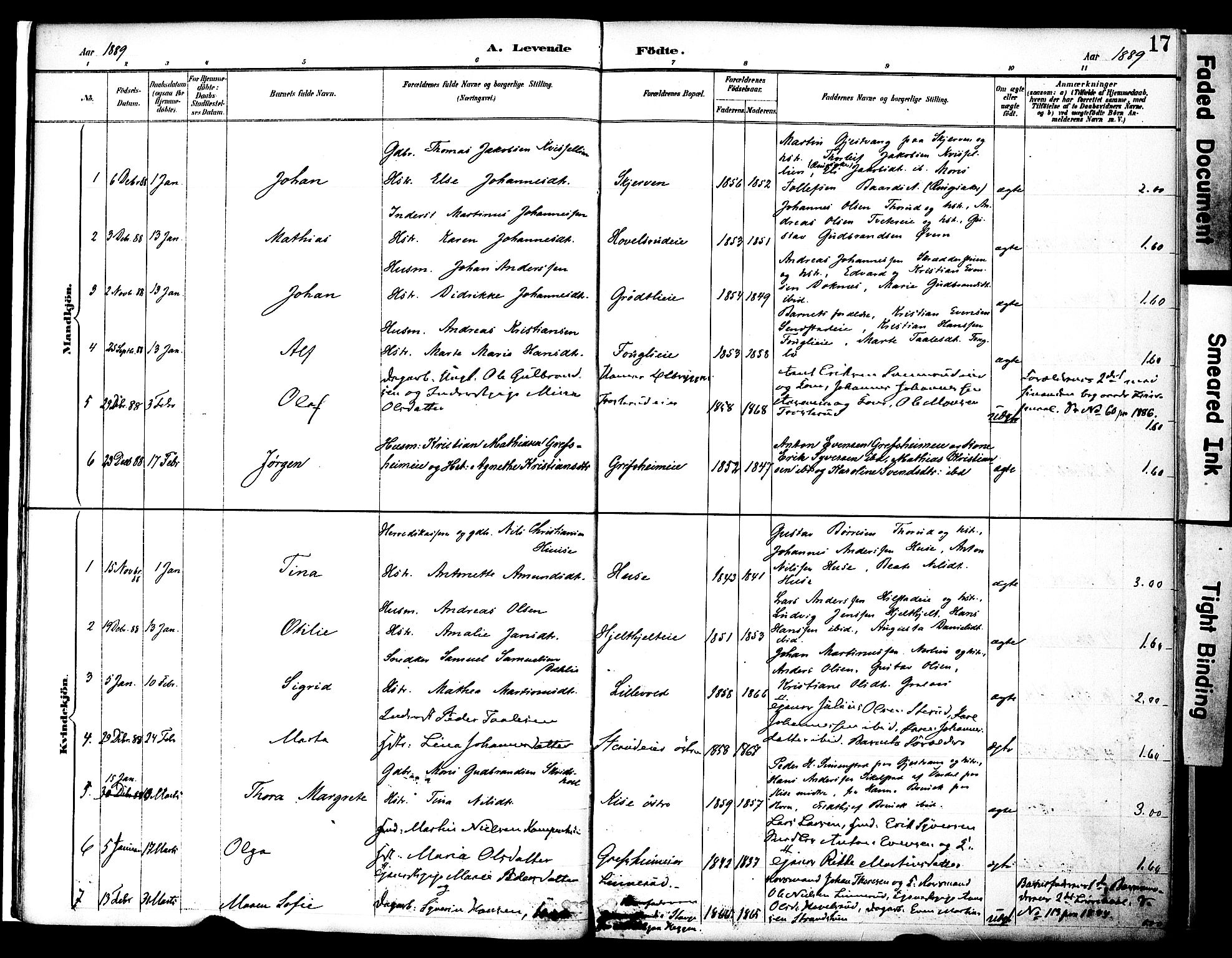 Nes prestekontor, Hedmark, SAH/PREST-020/K/Ka/L0009: Parish register (official) no. 9, 1887-1905, p. 17
