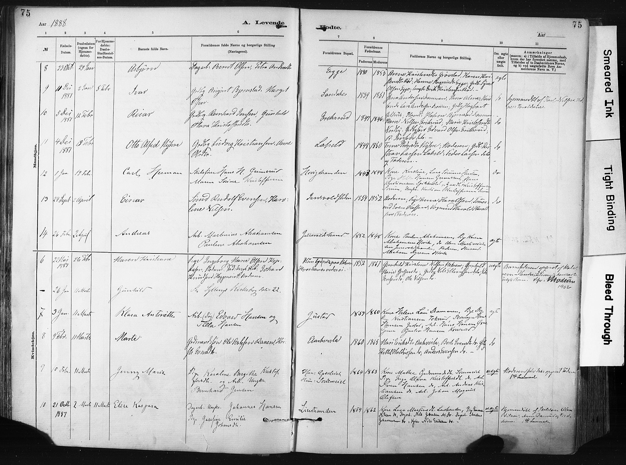 Lier kirkebøker, SAKO/A-230/F/Fa/L0015: Parish register (official) no. I 15, 1883-1894, p. 75