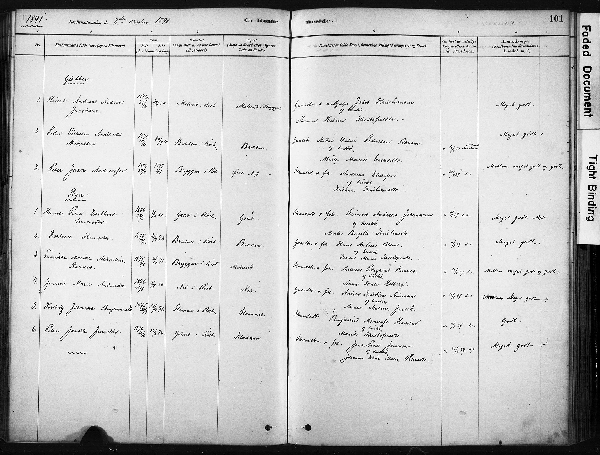 Ministerialprotokoller, klokkerbøker og fødselsregistre - Nordland, AV/SAT-A-1459/808/L0128: Parish register (official) no. 808A01, 1880-1902, p. 101