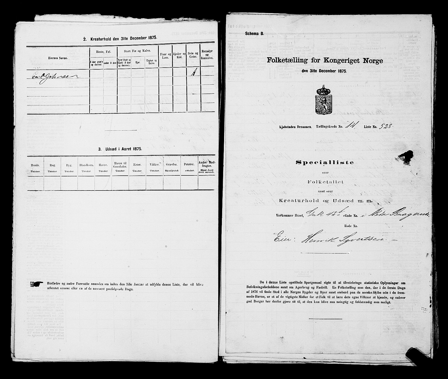 SAKO, 1875 census for 0602 Drammen, 1875, p. 1496