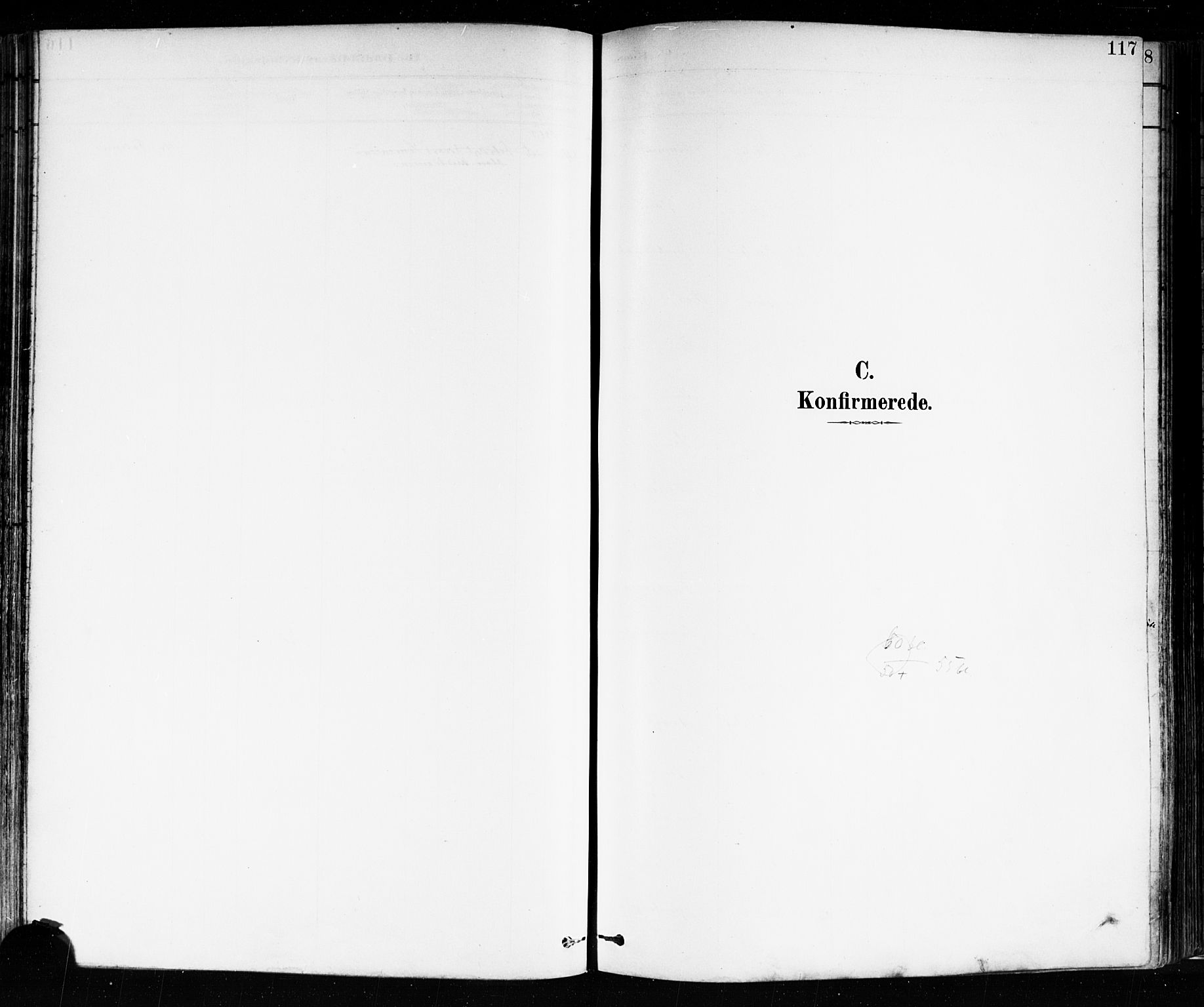 Sarpsborg prestekontor Kirkebøker, SAO/A-2006/F/Fa/L0004: Parish register (official) no. 4, 1892-1899, p. 117