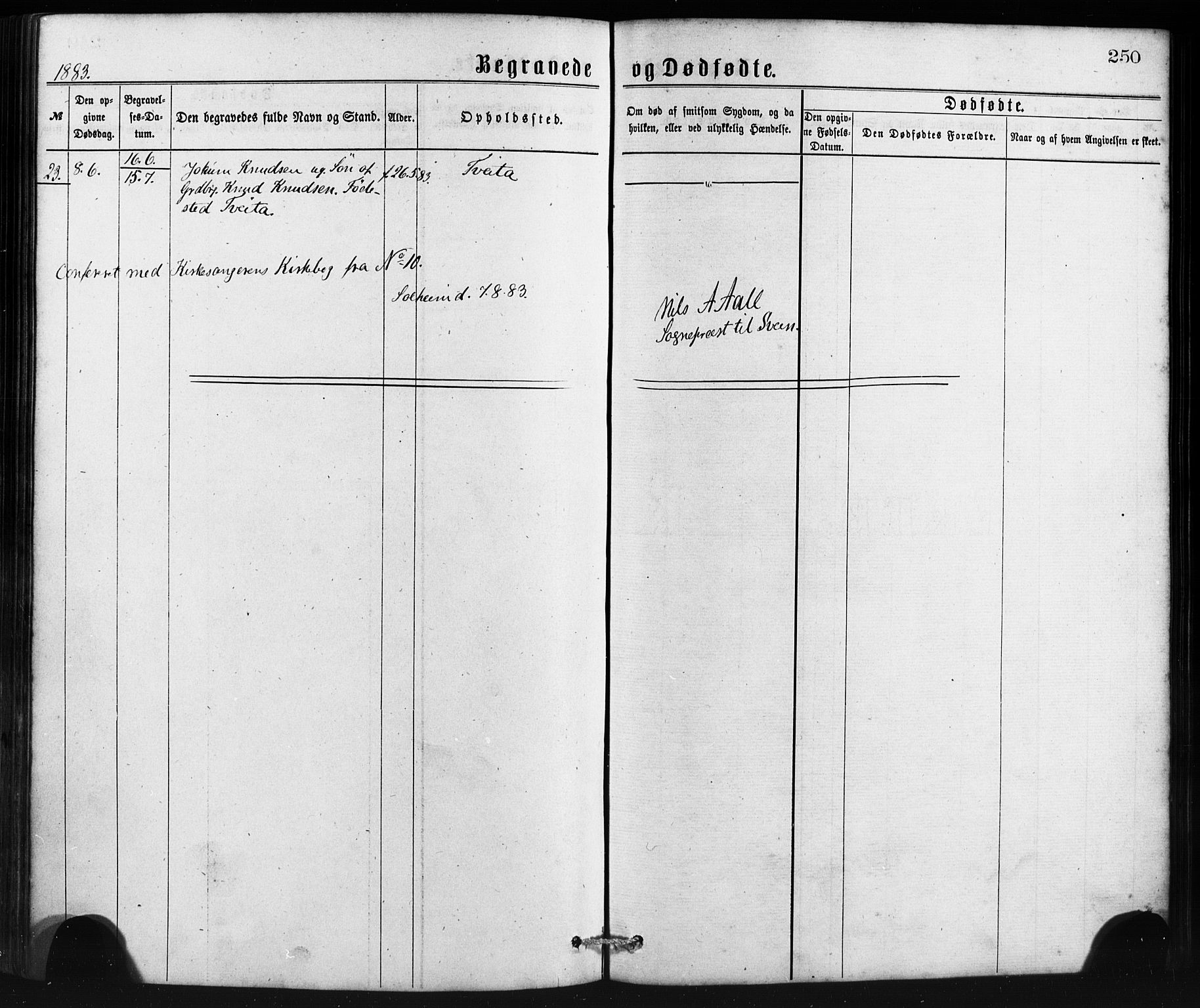 Sveio Sokneprestembete, AV/SAB-A-78501/H/Haa: Parish register (official) no. B 1, 1870-1883, p. 250