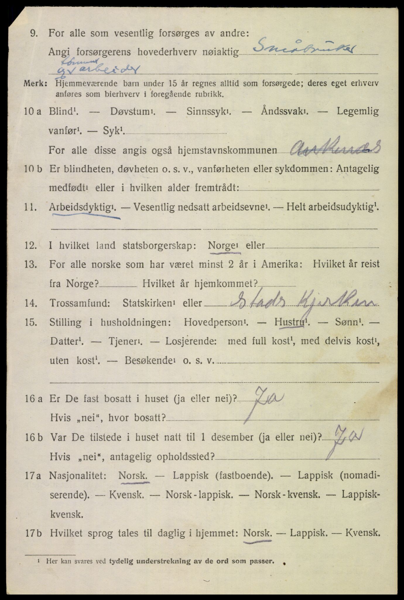 SAT, 1920 census for Ankenes, 1920, p. 4554