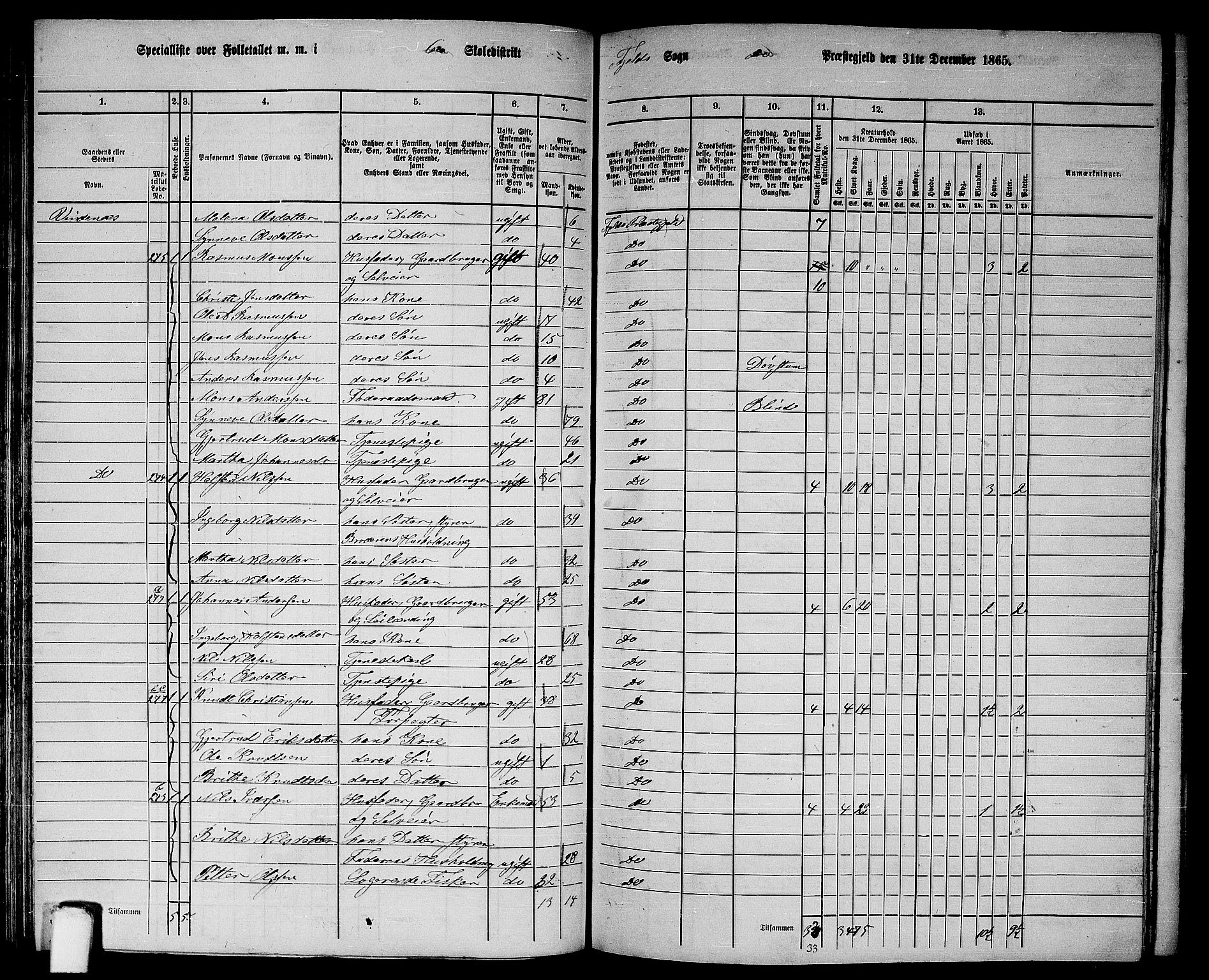 RA, 1865 census for Fjell, 1865, p. 113