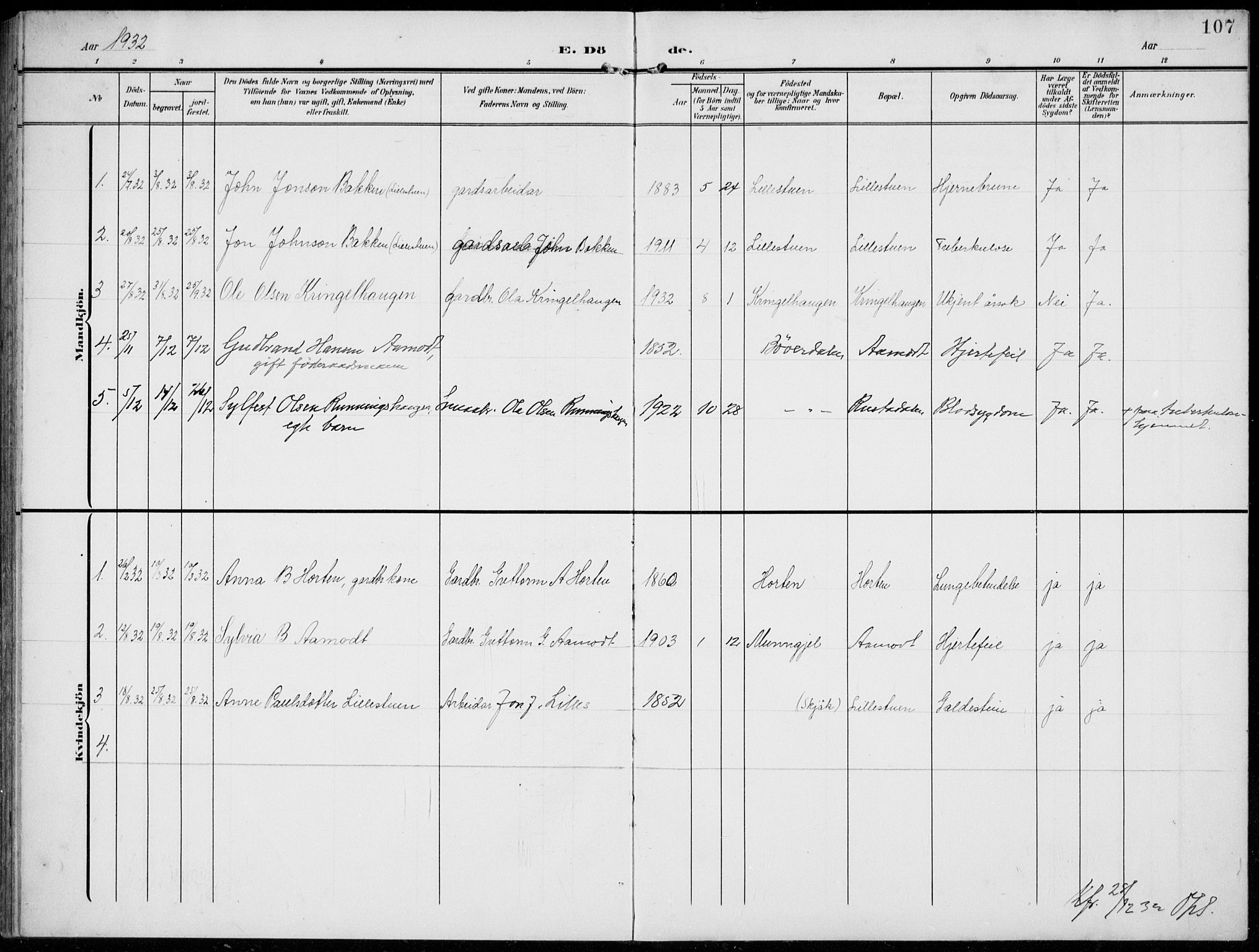 Lom prestekontor, AV/SAH-PREST-070/L/L0007: Parish register (copy) no. 7, 1904-1938, p. 107