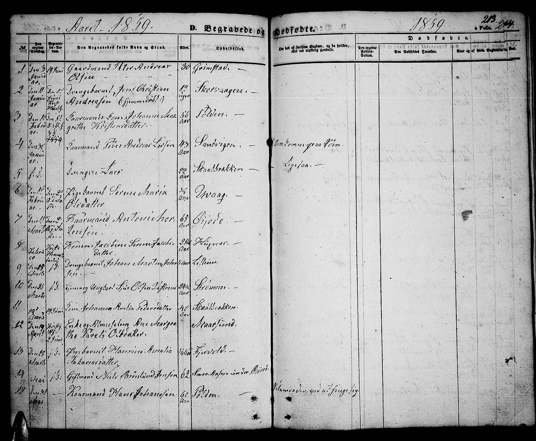 Ministerialprotokoller, klokkerbøker og fødselsregistre - Nordland, SAT/A-1459/891/L1313: Parish register (copy) no. 891C02, 1856-1870, p. 213