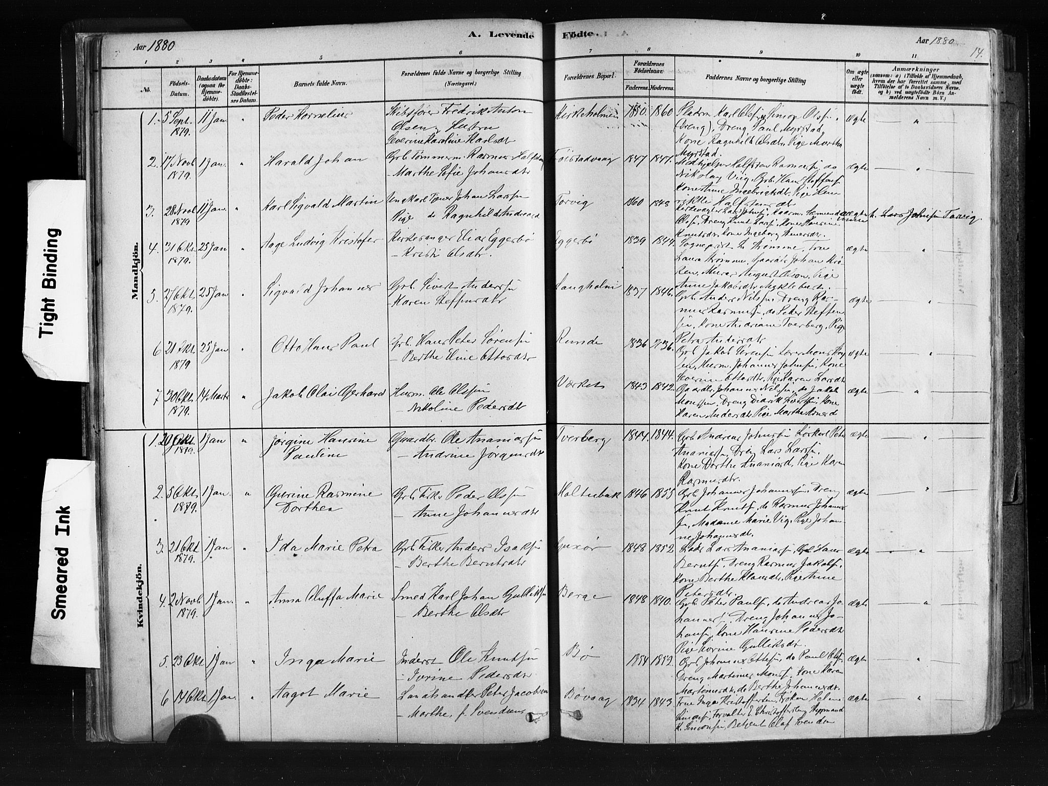 Ministerialprotokoller, klokkerbøker og fødselsregistre - Møre og Romsdal, SAT/A-1454/507/L0073: Parish register (official) no. 507A08, 1878-1904, p. 14