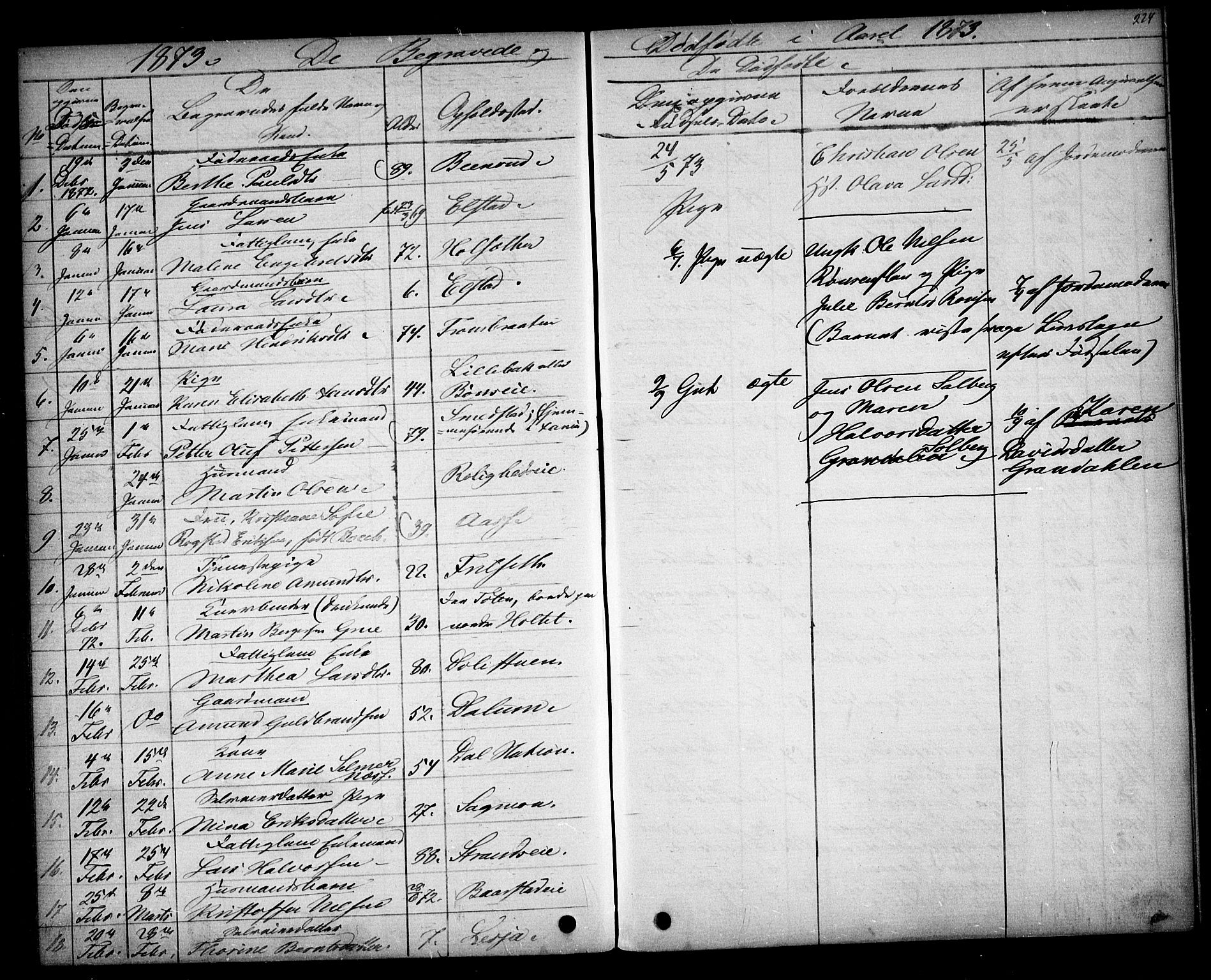 Eidsvoll prestekontor Kirkebøker, SAO/A-10888/G/Ga/L0003: Parish register (copy) no. I 3, 1871-1877, p. 224
