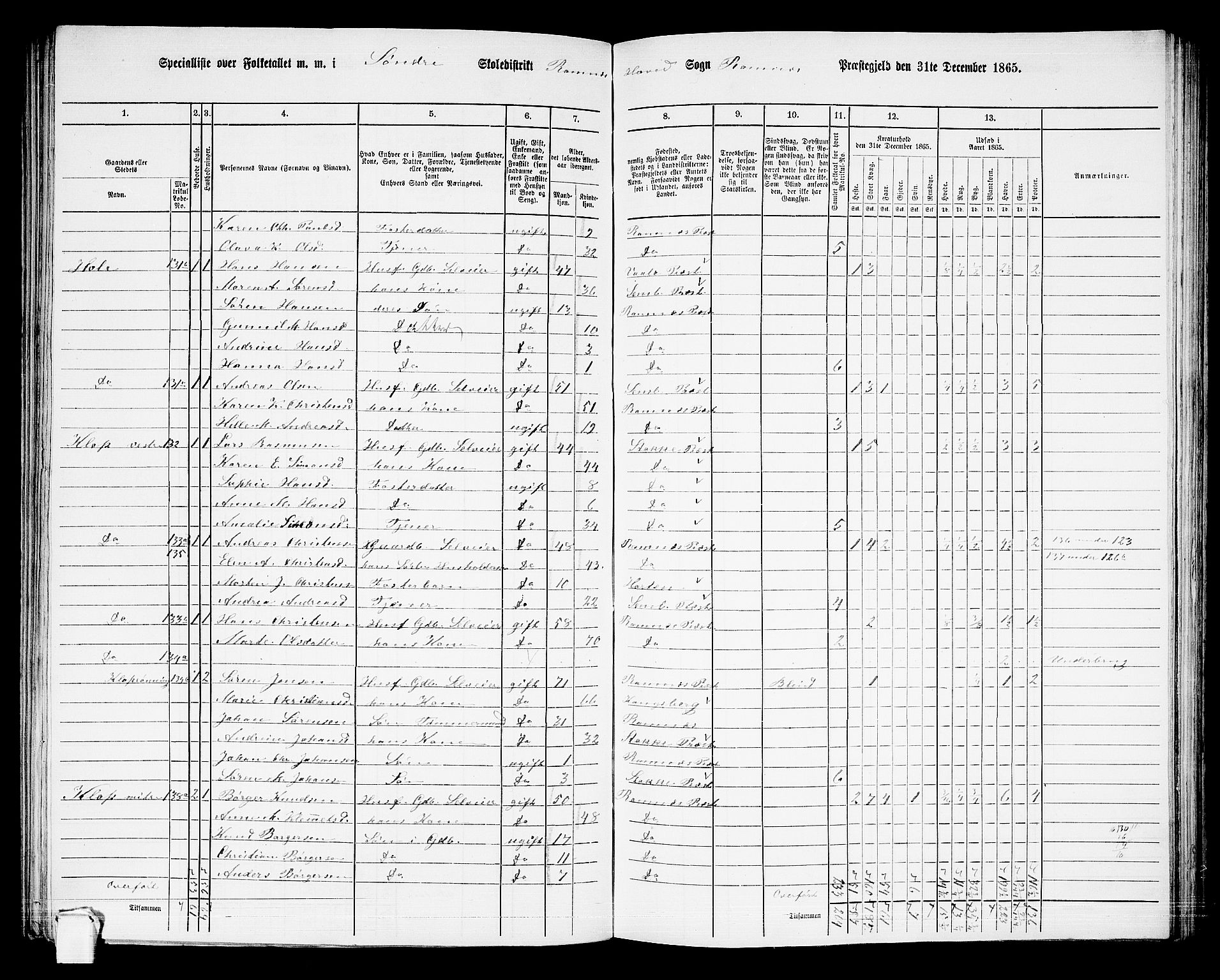 RA, 1865 census for Ramnes, 1865, p. 22