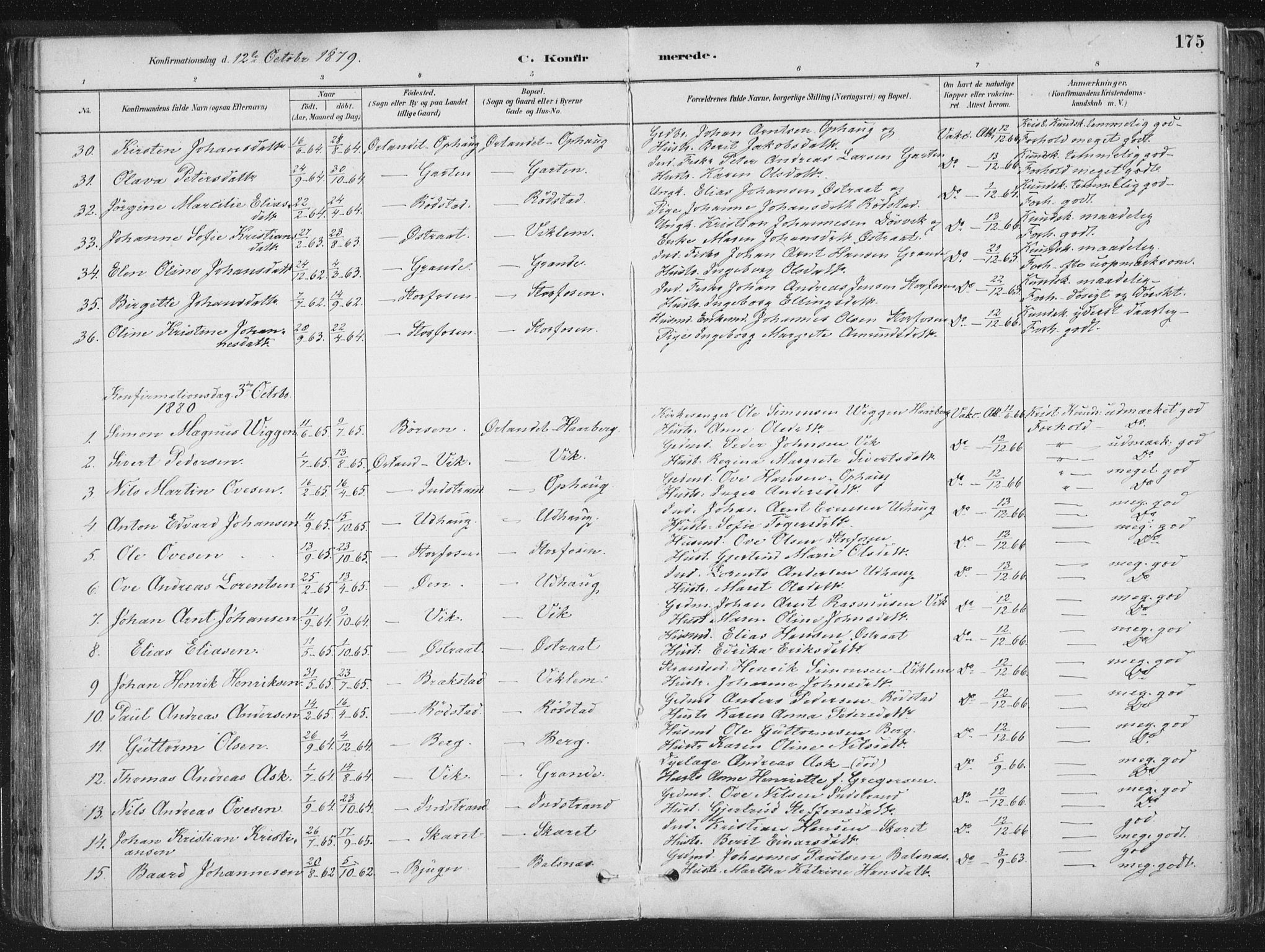 Ministerialprotokoller, klokkerbøker og fødselsregistre - Sør-Trøndelag, AV/SAT-A-1456/659/L0739: Parish register (official) no. 659A09, 1879-1893, p. 175