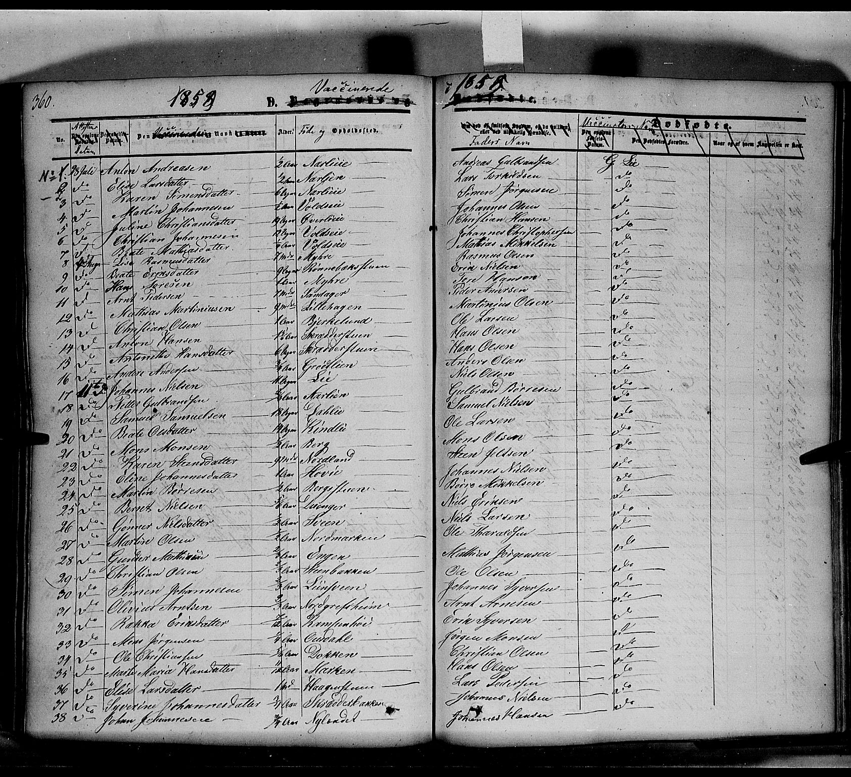 Nes prestekontor, Hedmark, SAH/PREST-020/K/Ka/L0004: Parish register (official) no. 4, 1852-1886, p. 360