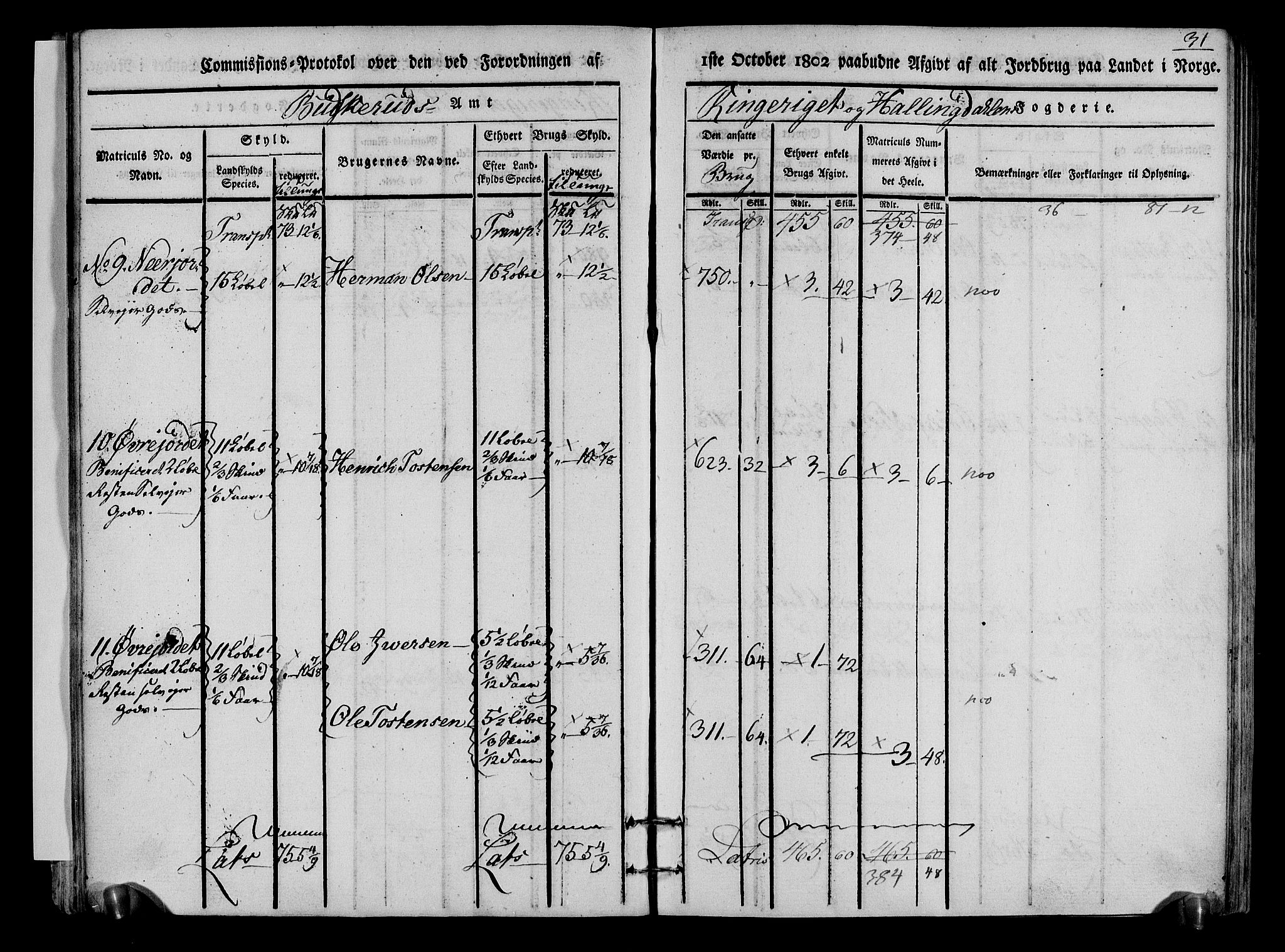 Rentekammeret inntil 1814, Realistisk ordnet avdeling, AV/RA-EA-4070/N/Ne/Nea/L0048: Ringerike og Hallingdal fogderi. Kommisjonsprotokoll for Ål prestegjeld, 1803, p. 34