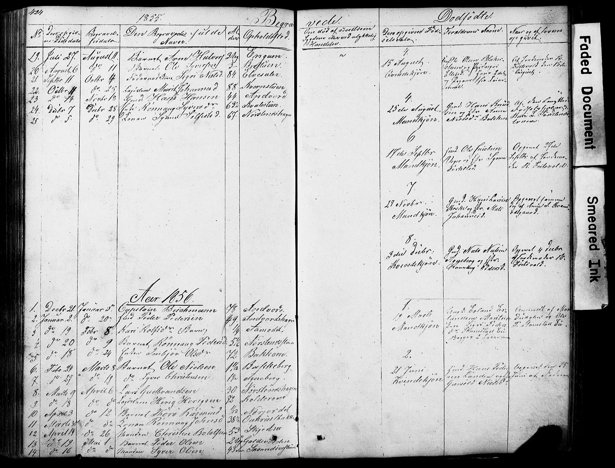 Lom prestekontor, SAH/PREST-070/L/L0012: Parish register (copy) no. 12, 1845-1873, p. 424-425