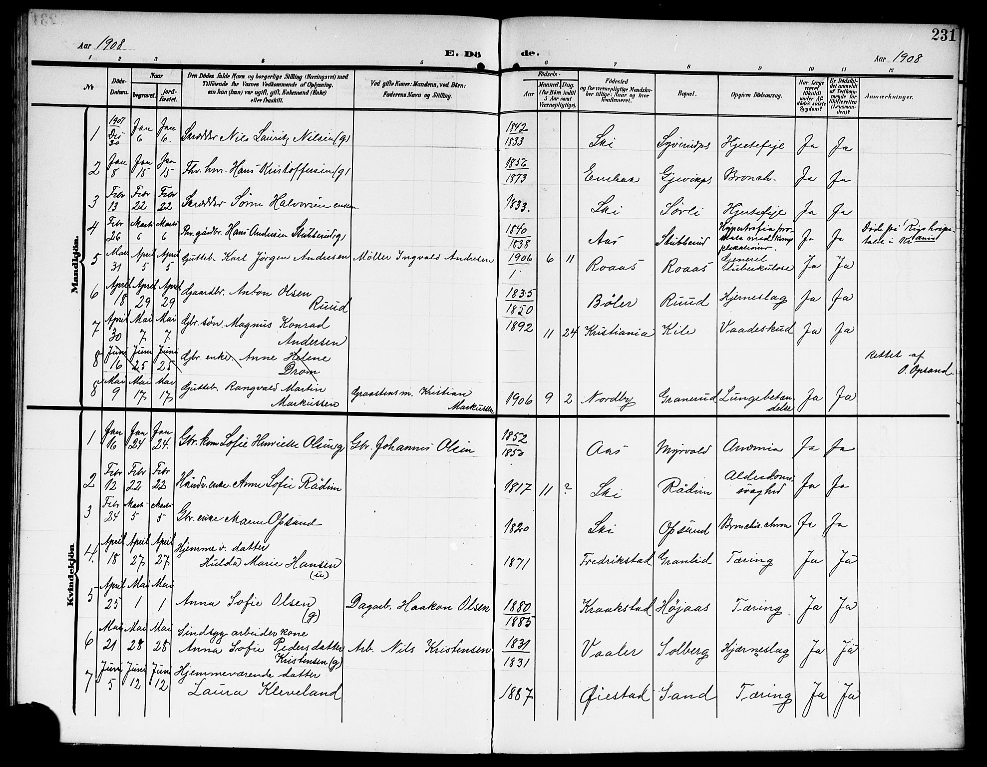 Kråkstad prestekontor Kirkebøker, SAO/A-10125a/G/Gb/L0001: Parish register (copy) no. II 1, 1905-1920, p. 231