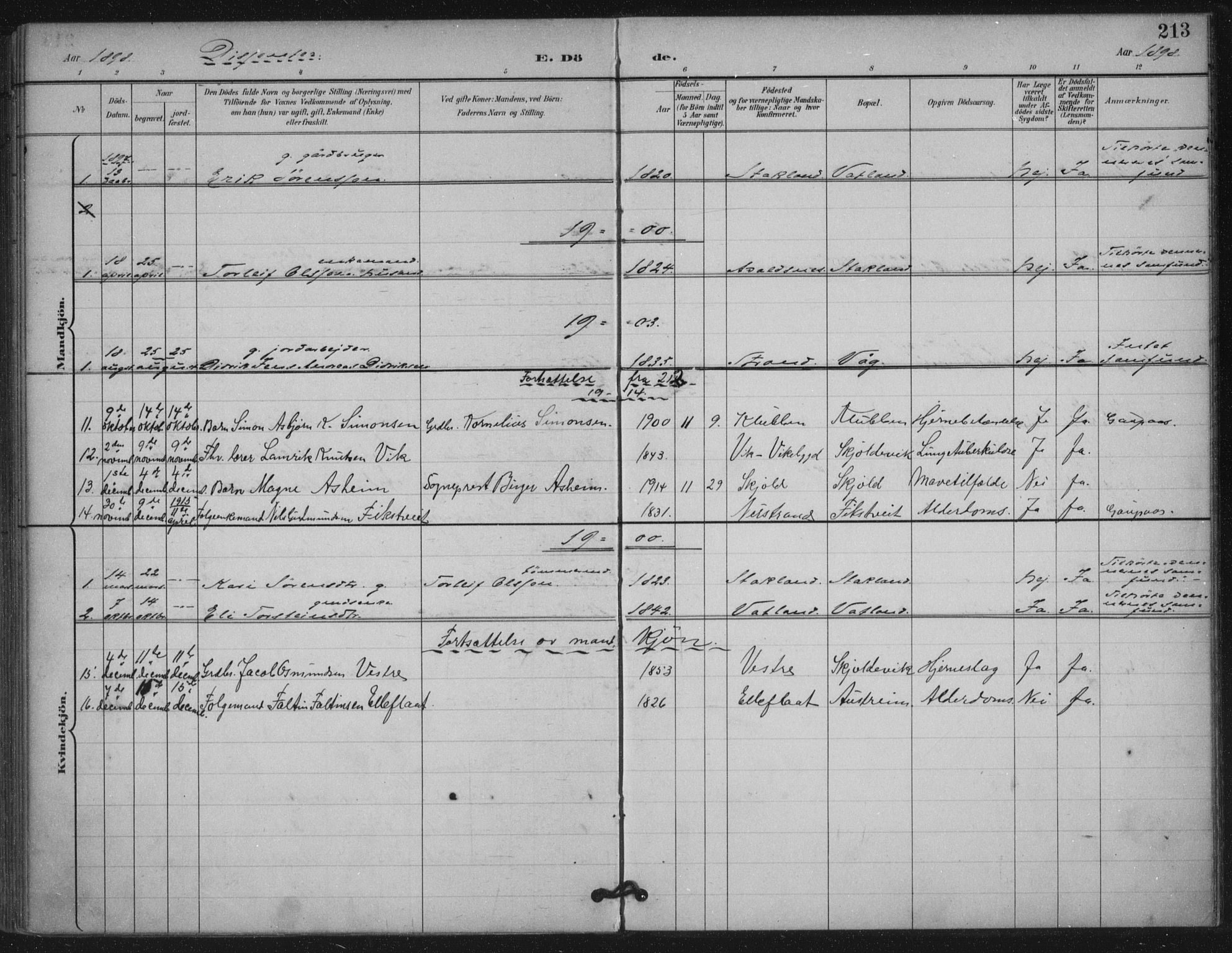 Skjold sokneprestkontor, SAST/A-101847/H/Ha/Haa/L0011: Parish register (official) no. A 11, 1897-1914, p. 213