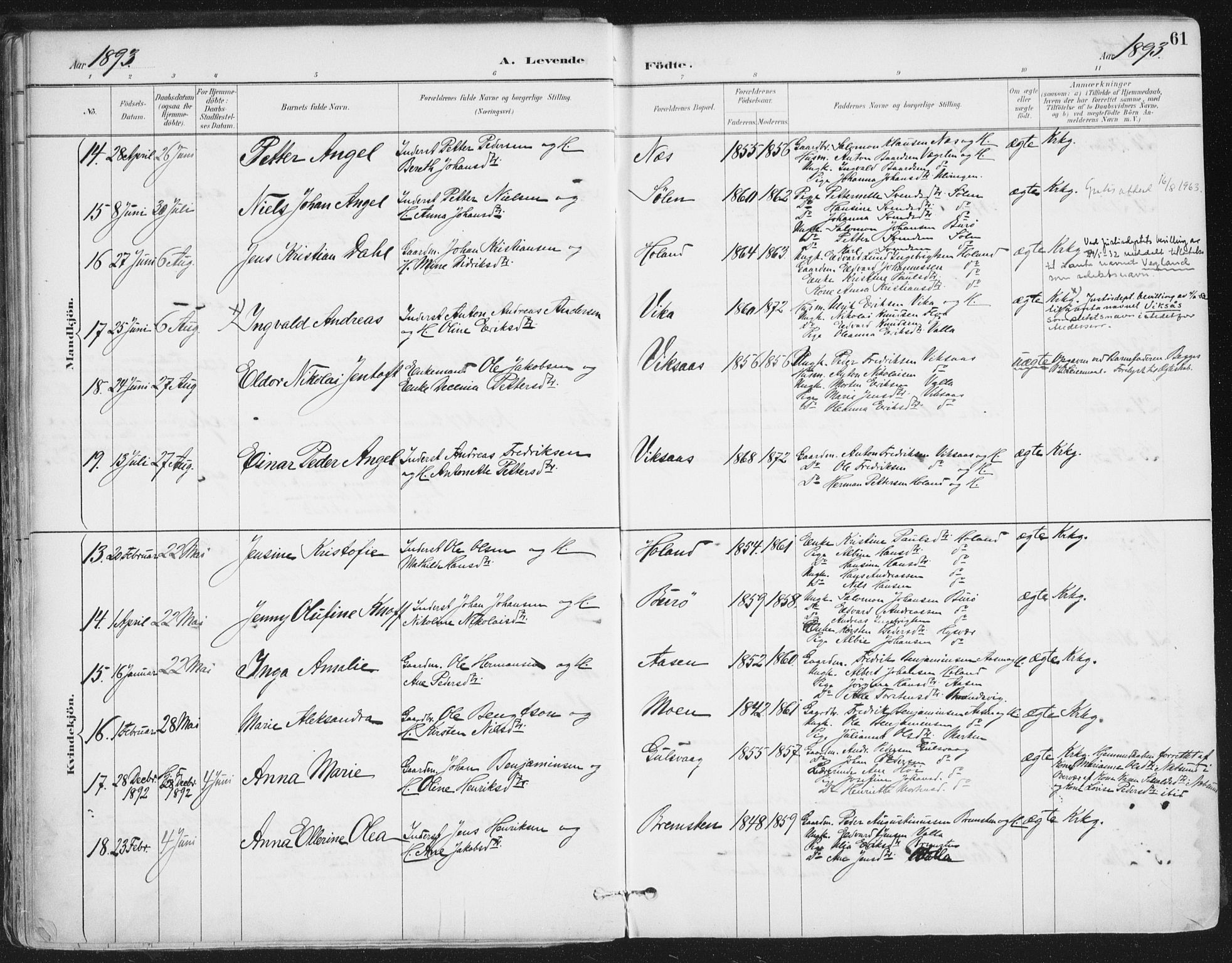 Ministerialprotokoller, klokkerbøker og fødselsregistre - Nordland, AV/SAT-A-1459/816/L0244: Parish register (official) no. 816A10, 1886-1903, p. 61