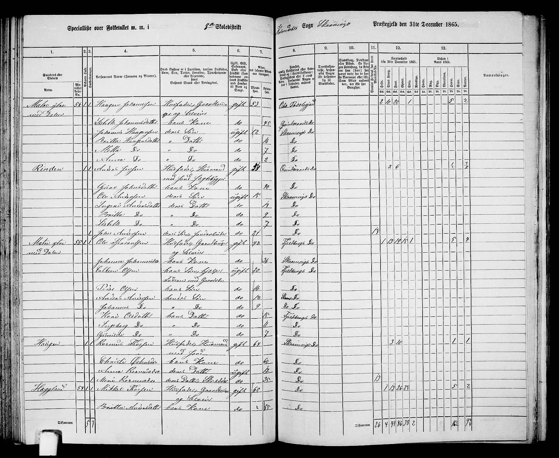 RA, 1865 census for Skånevik, 1865, p. 121