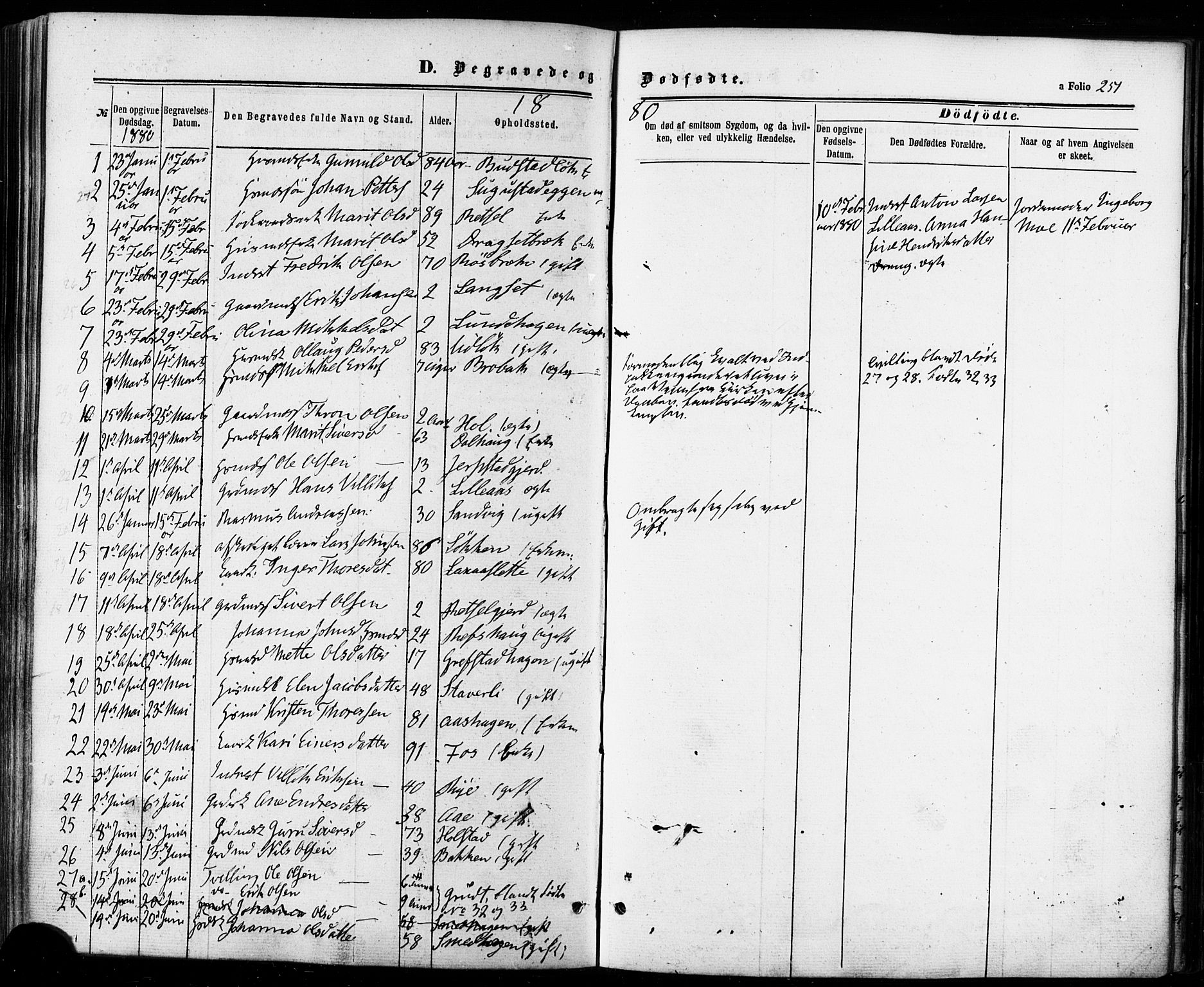 Ministerialprotokoller, klokkerbøker og fødselsregistre - Sør-Trøndelag, SAT/A-1456/672/L0856: Parish register (official) no. 672A08, 1861-1881, p. 251